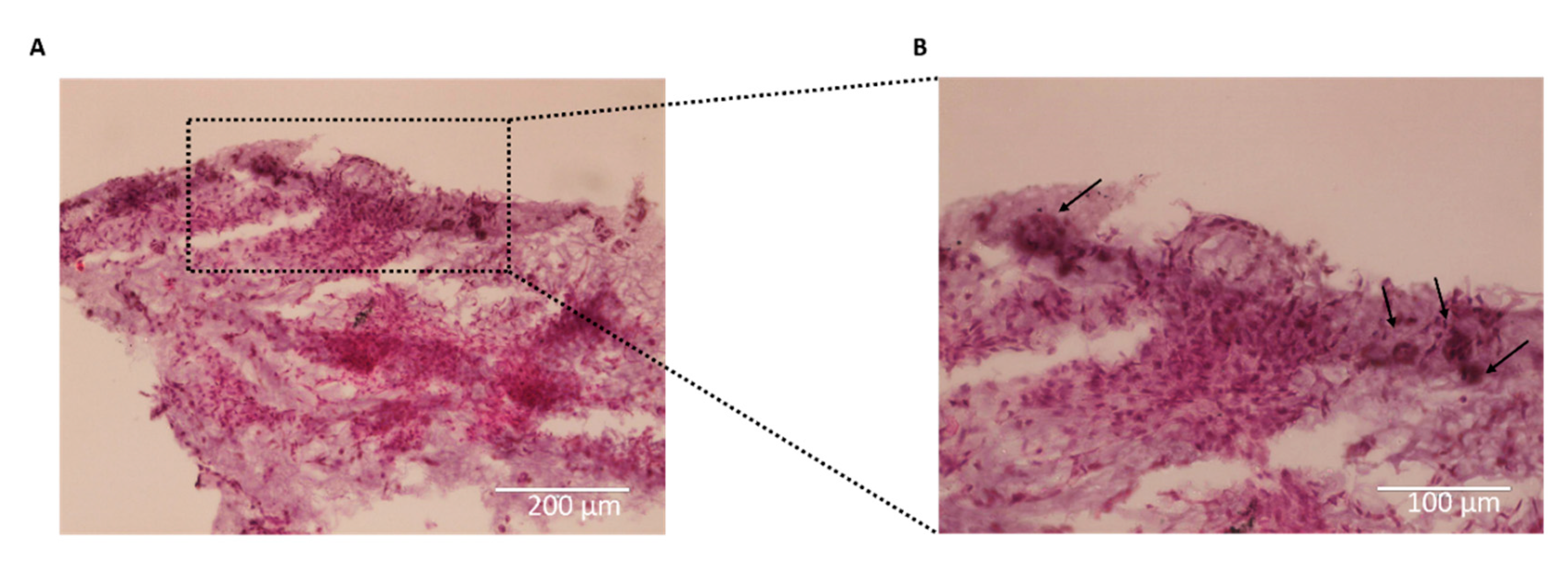 Preprints 81496 g007