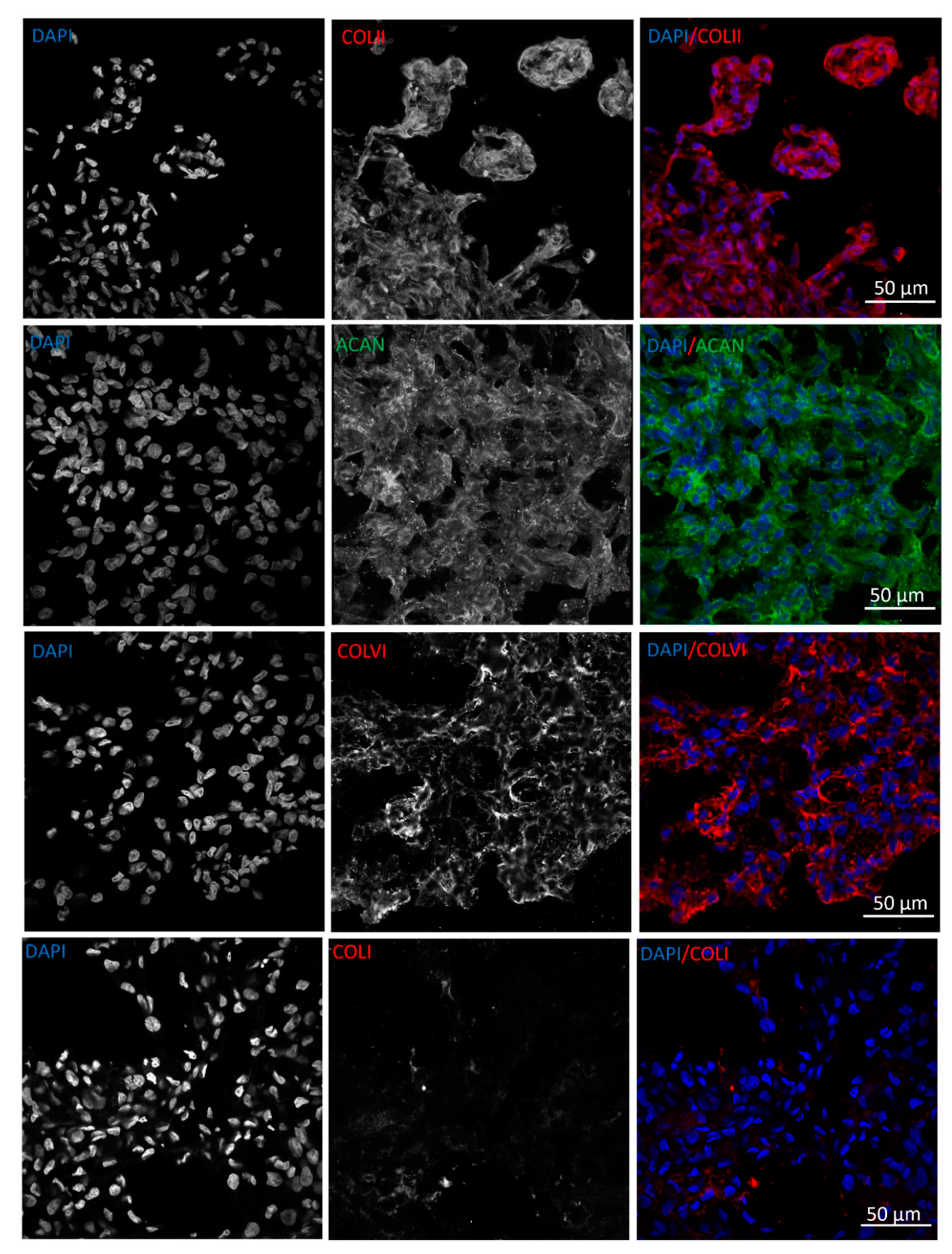 Preprints 81496 g008