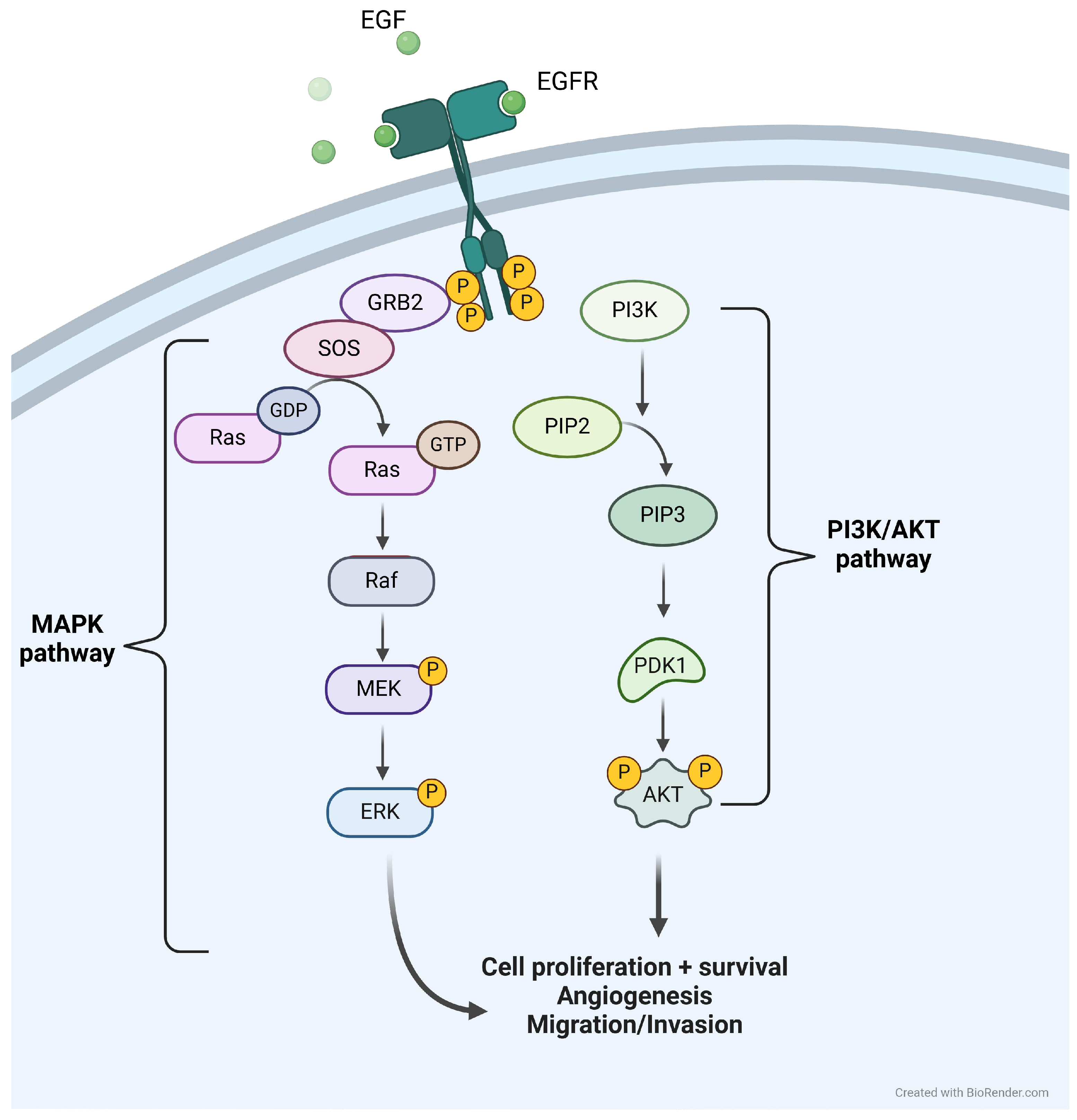 Preprints 98626 g001