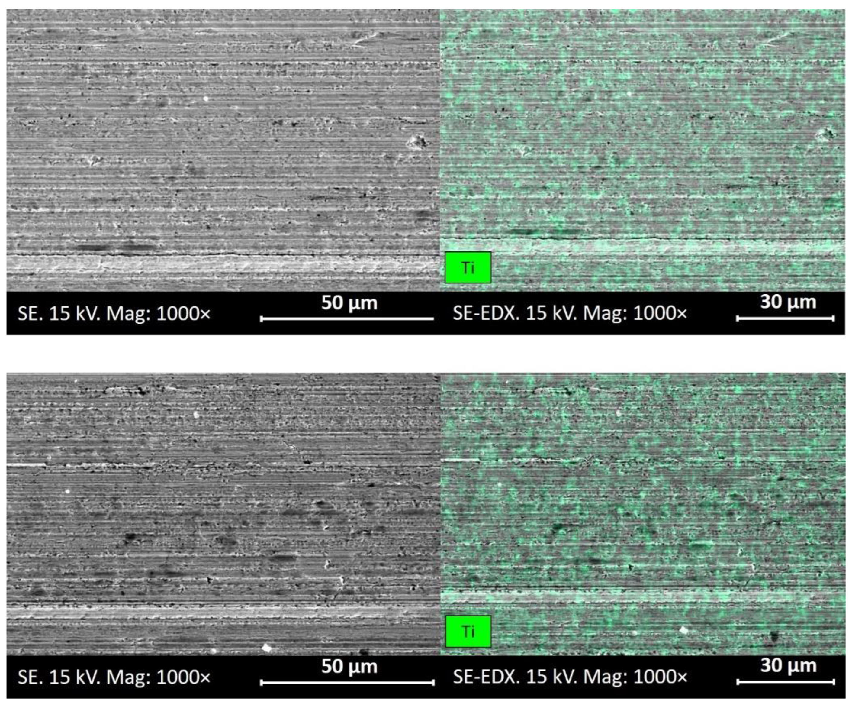 Preprints 87135 g013