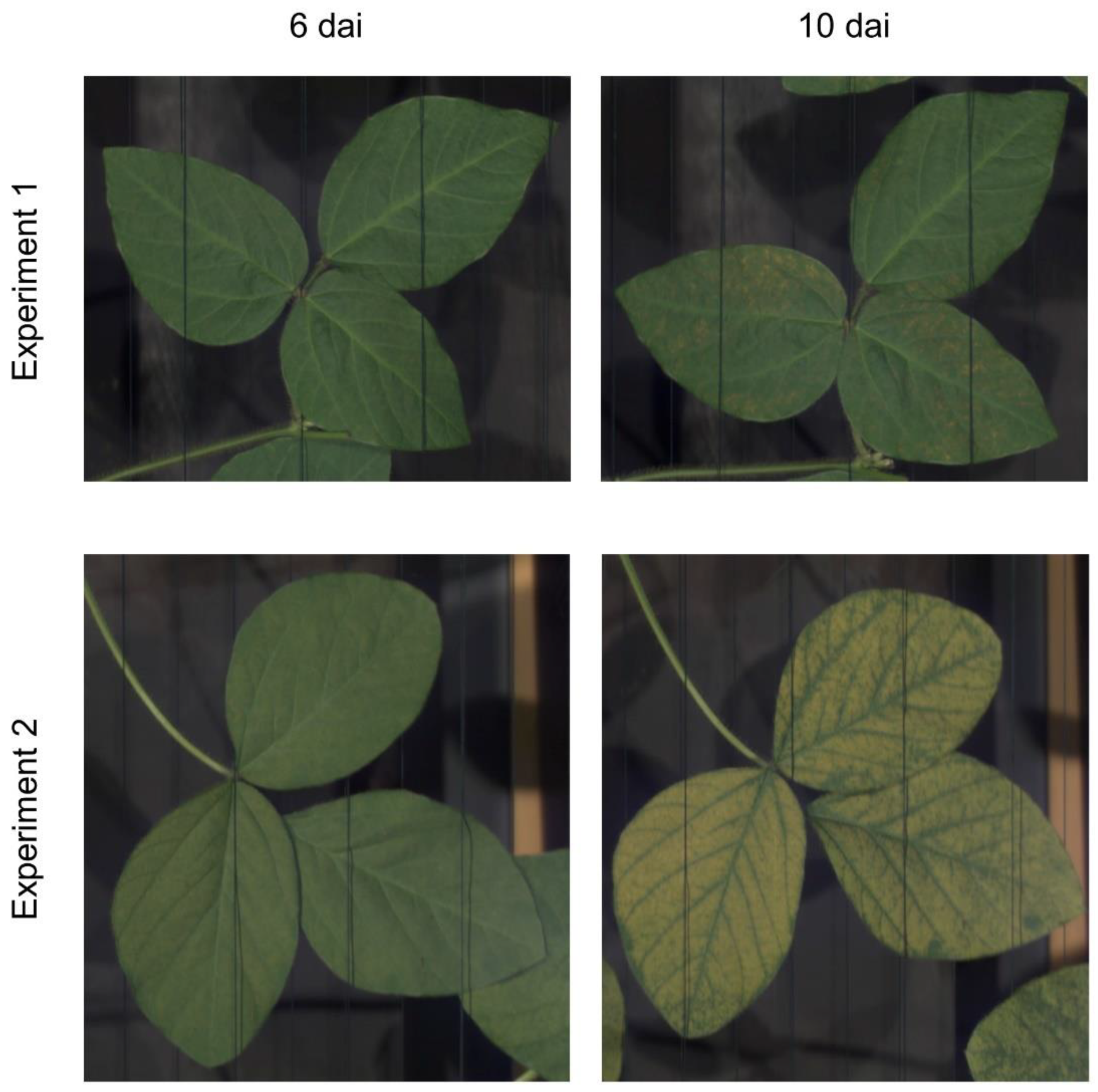 Preprints 119920 g004