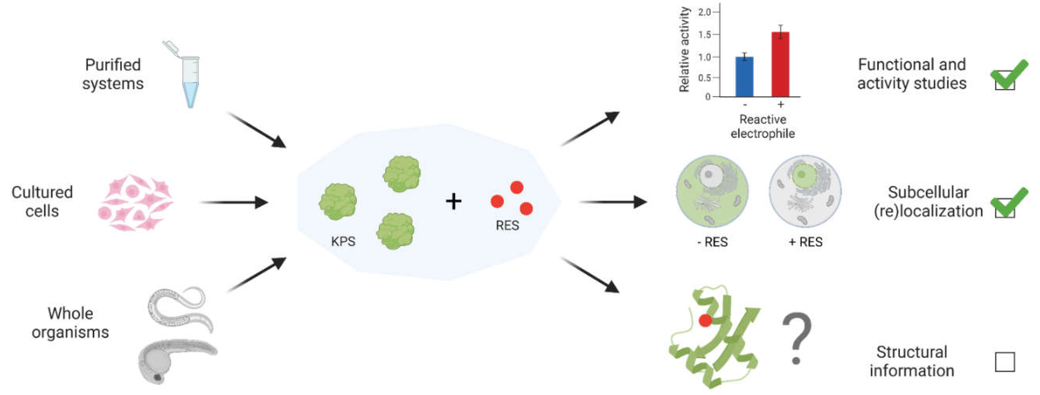 Preprints 68866 g002