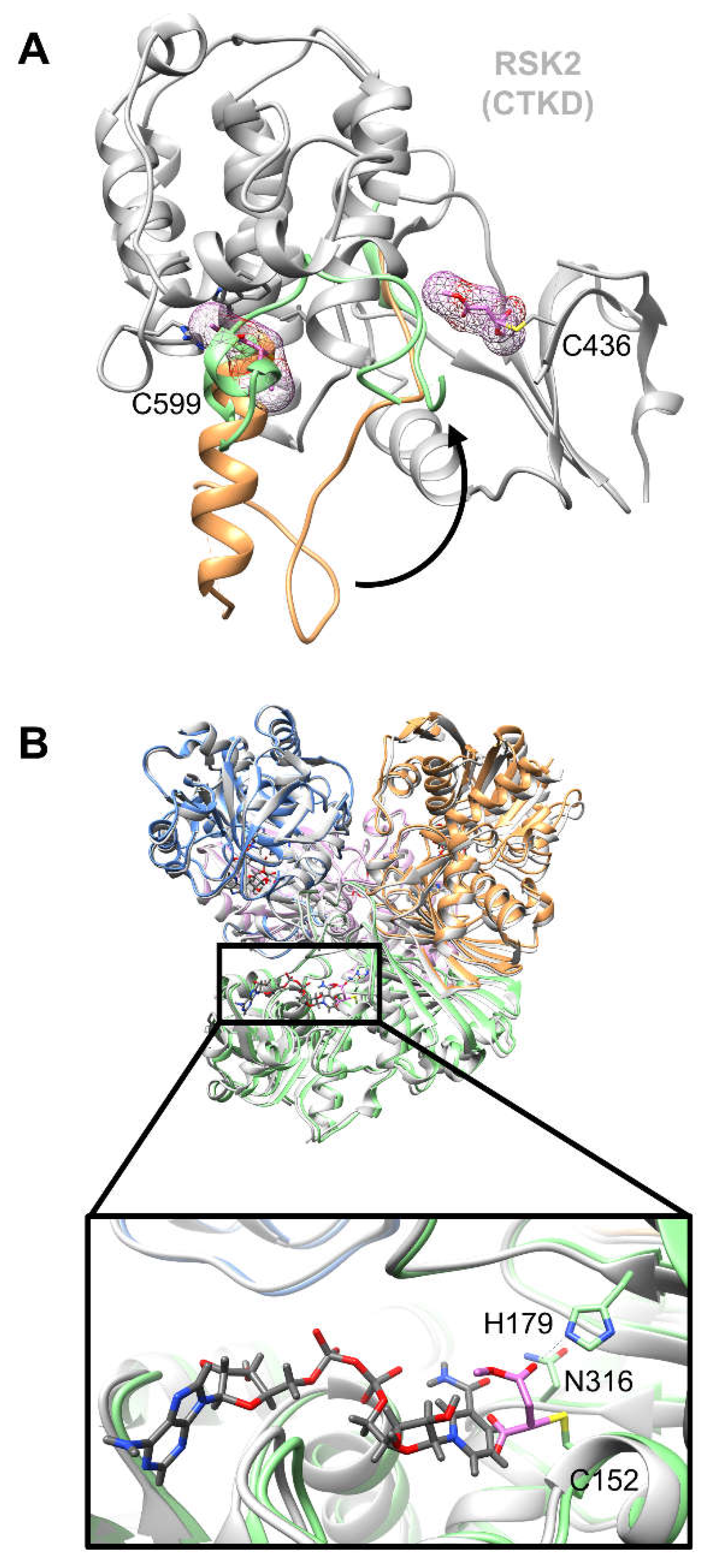 Preprints 68866 g003