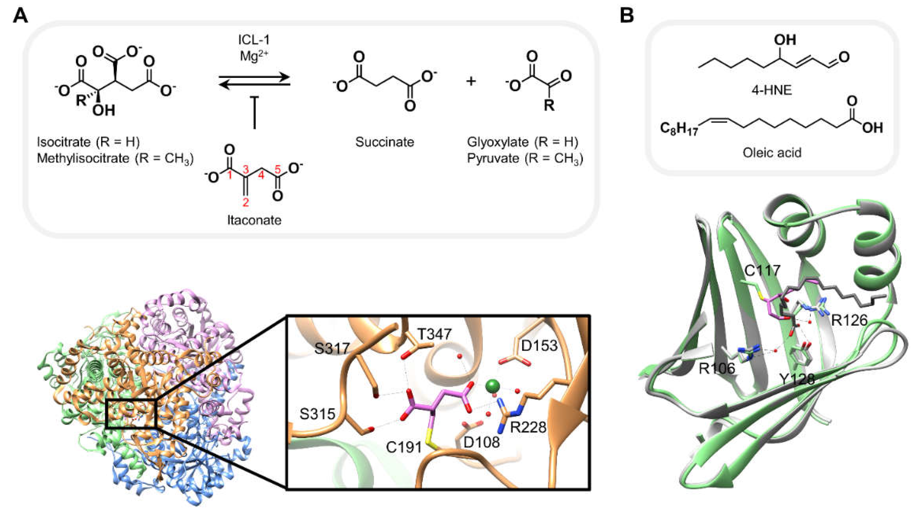 Preprints 68866 g004