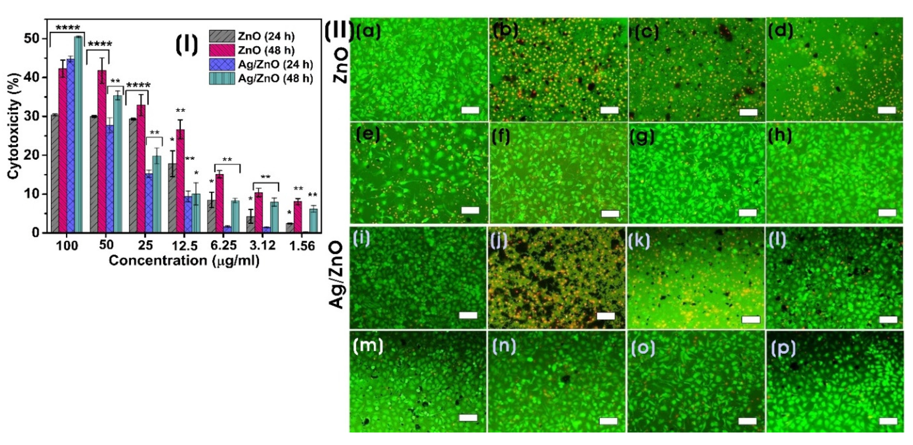 Preprints 78309 g007