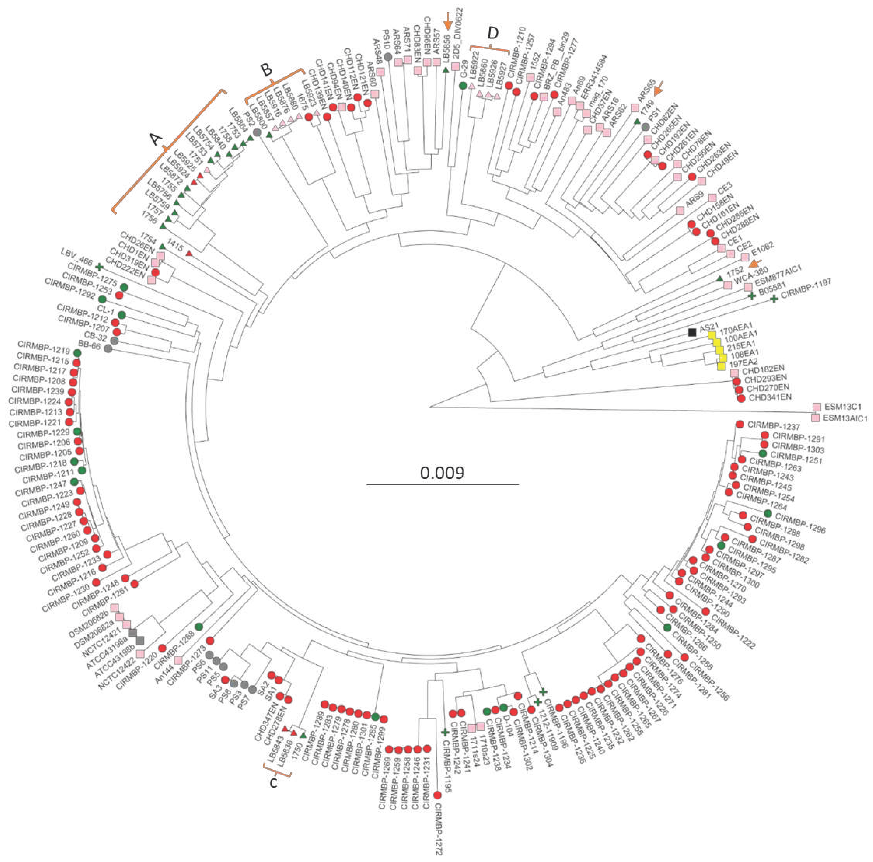 Preprints 96033 g001