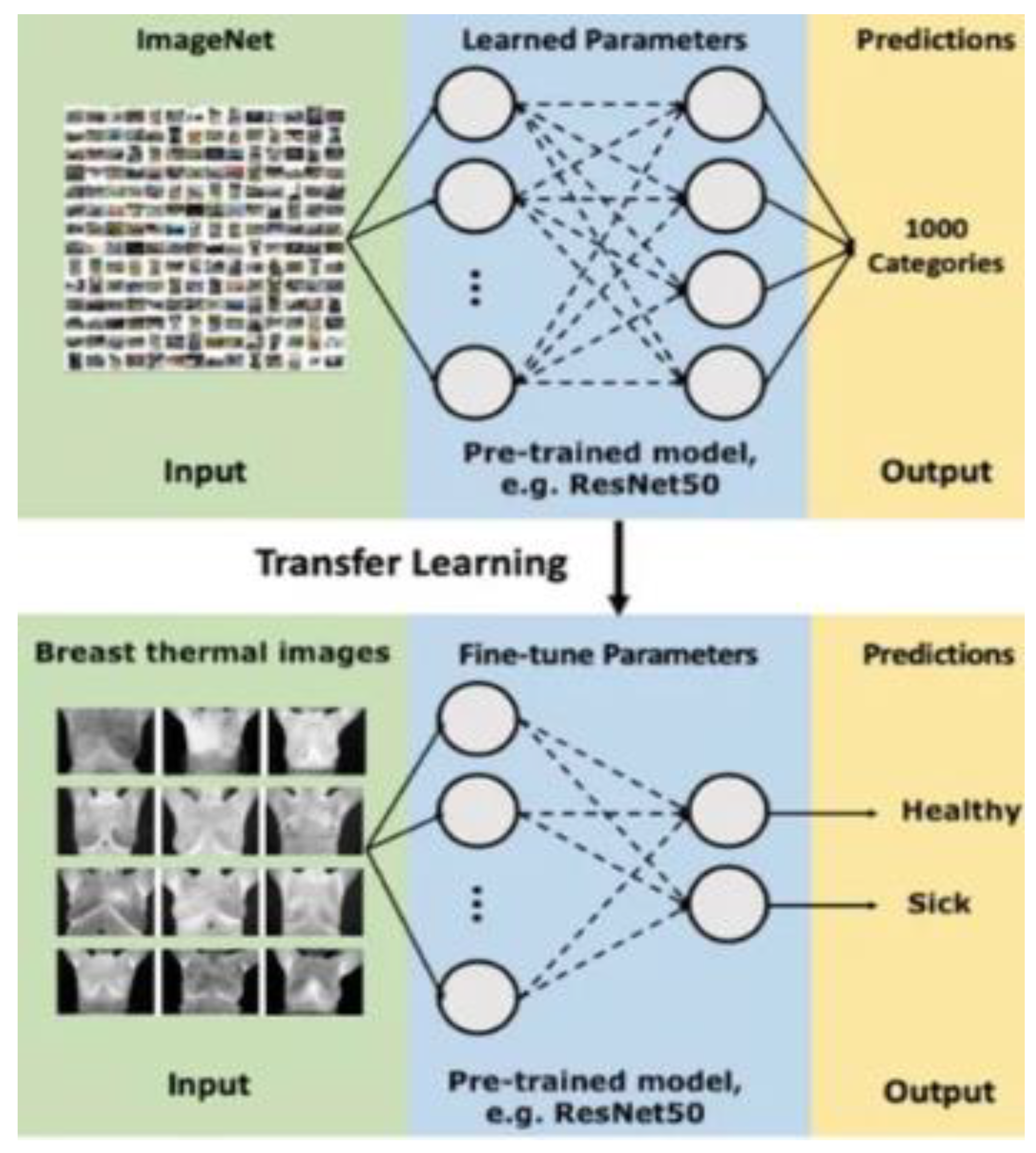 Preprints 117261 g008