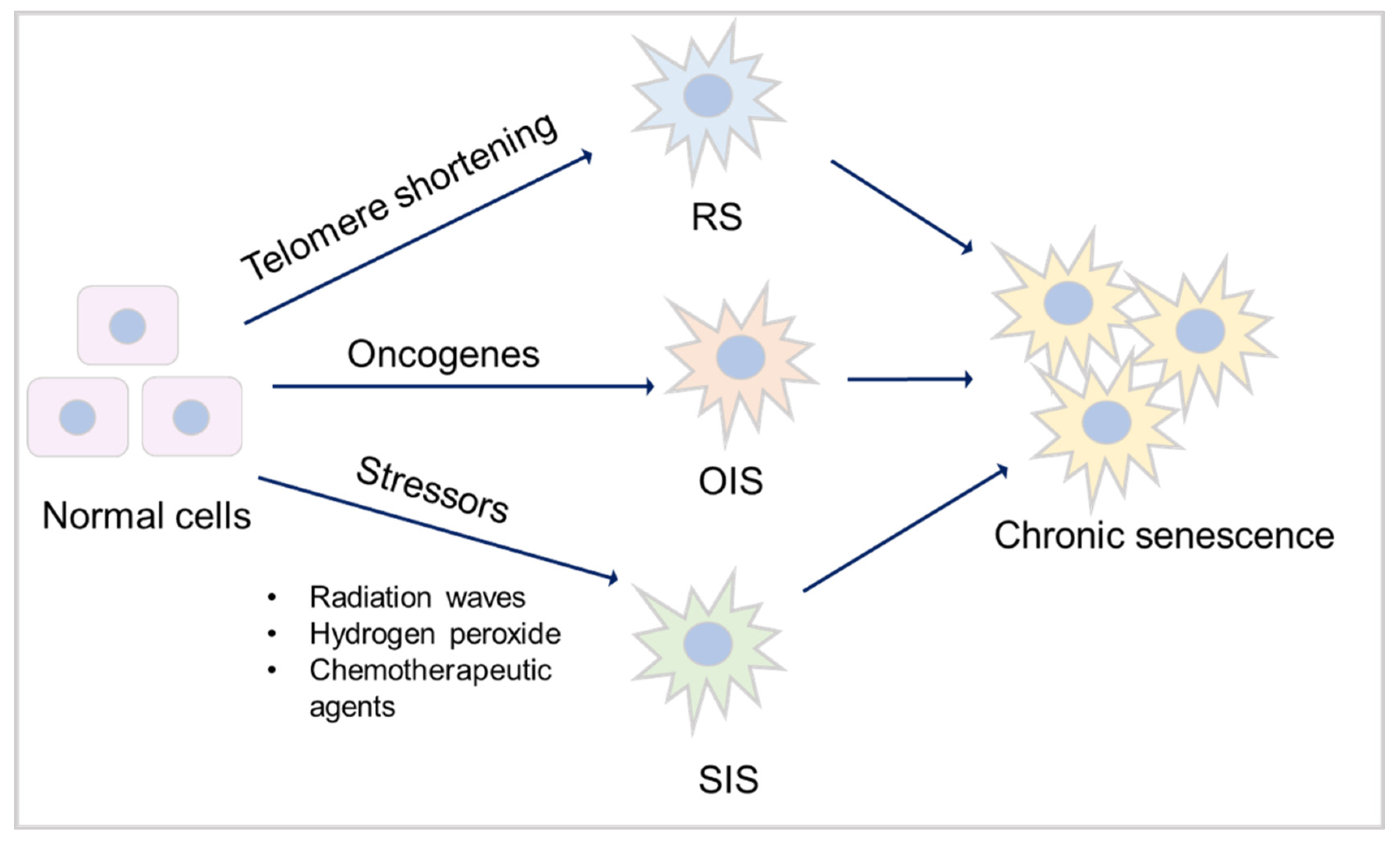 Preprints 81903 g002