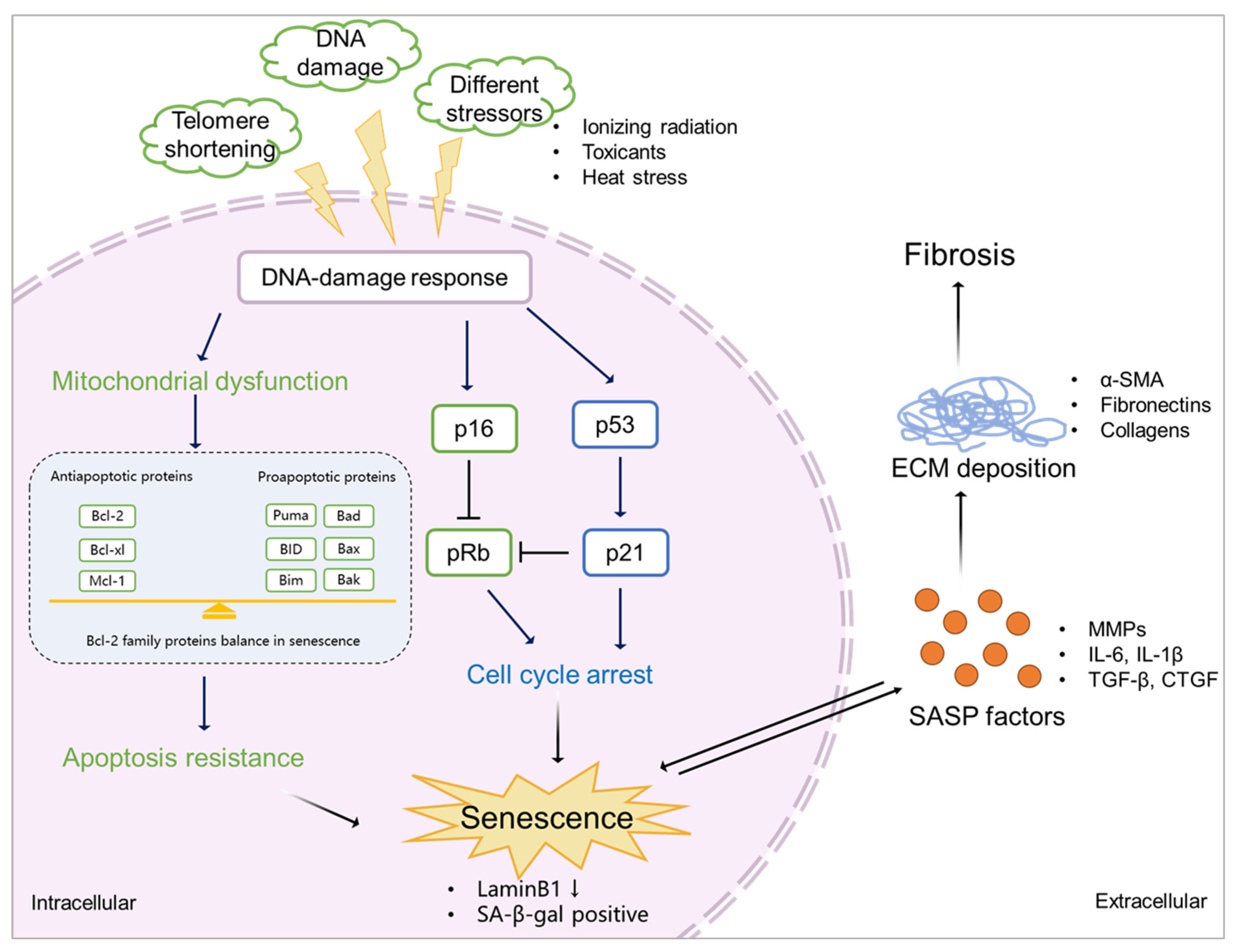 Preprints 81903 g003