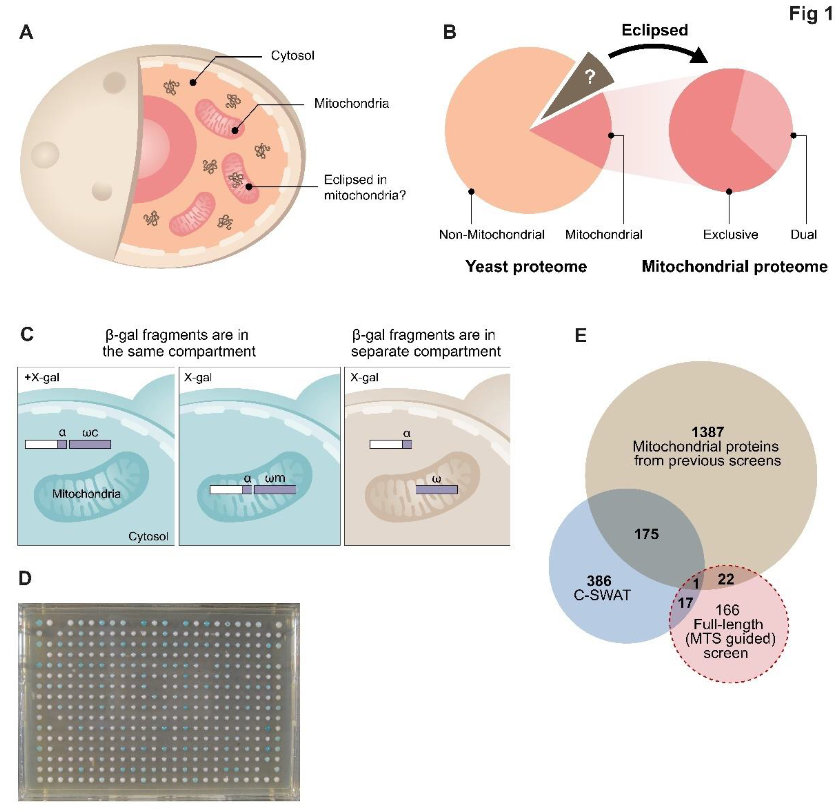 Preprints 72653 g001