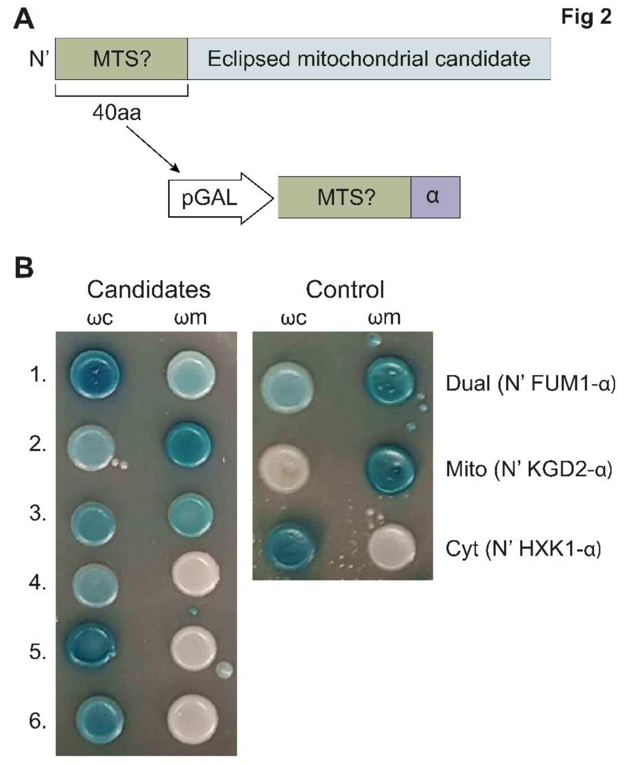 Preprints 72653 g002