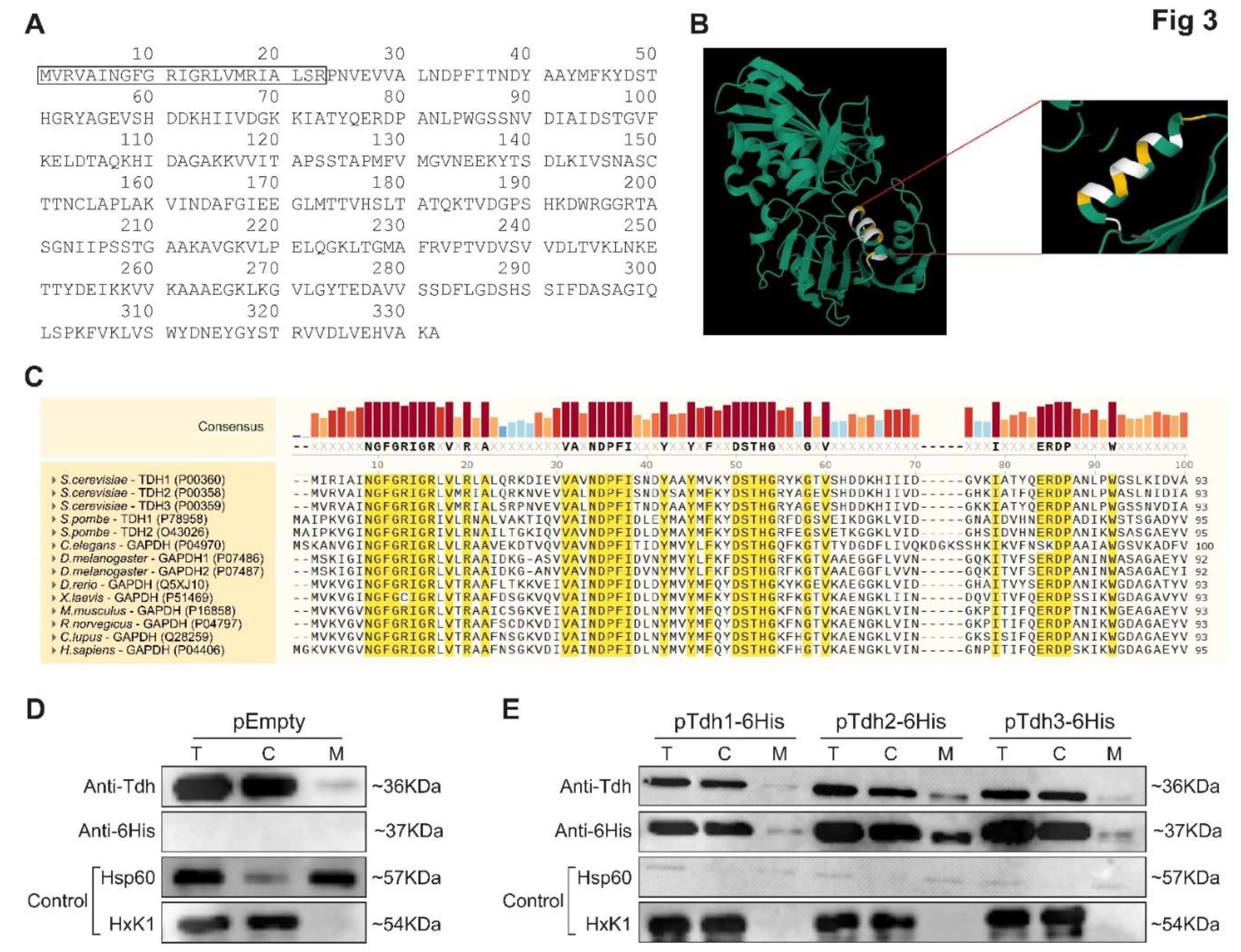 Preprints 72653 g003