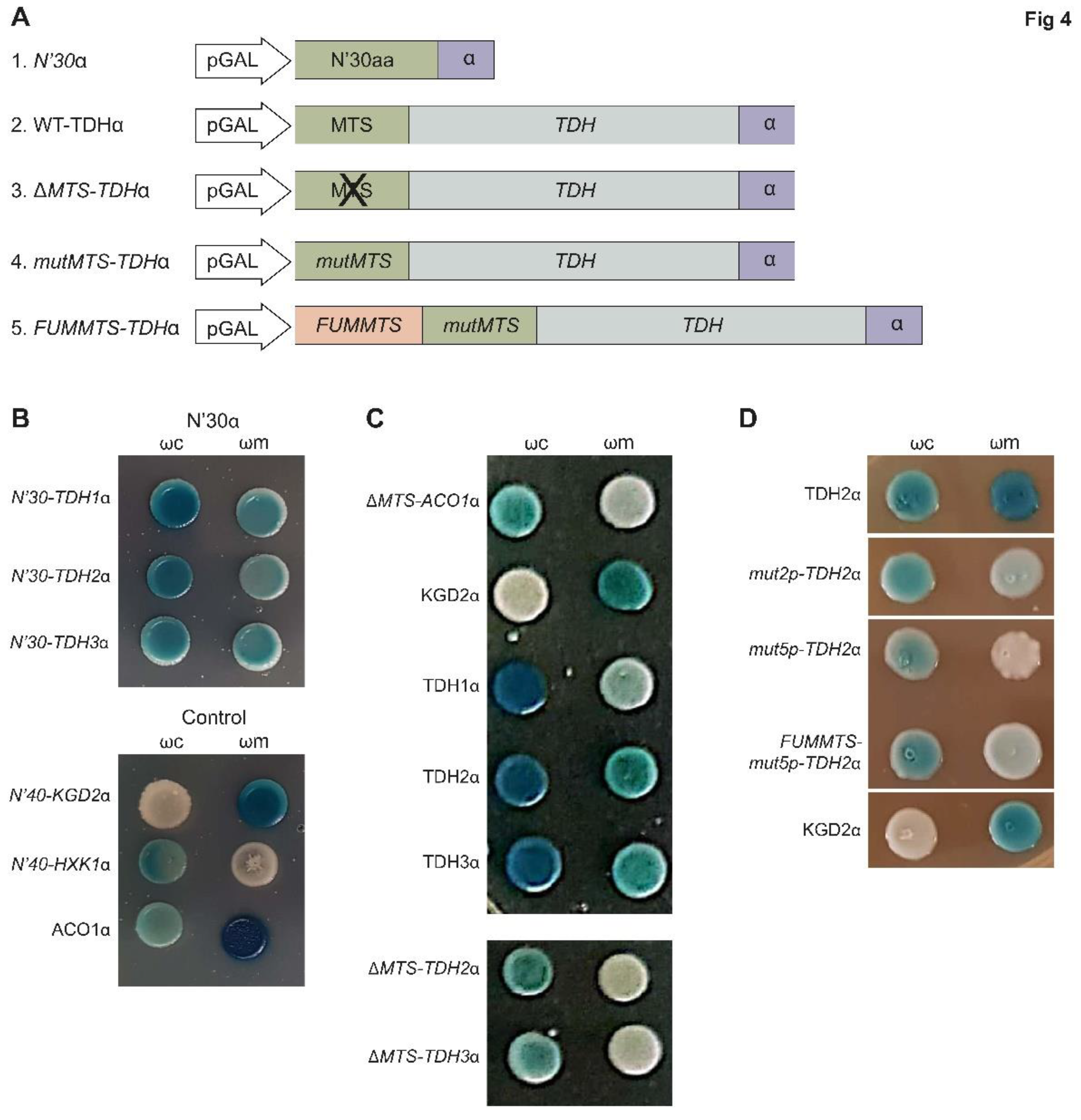 Preprints 72653 g004