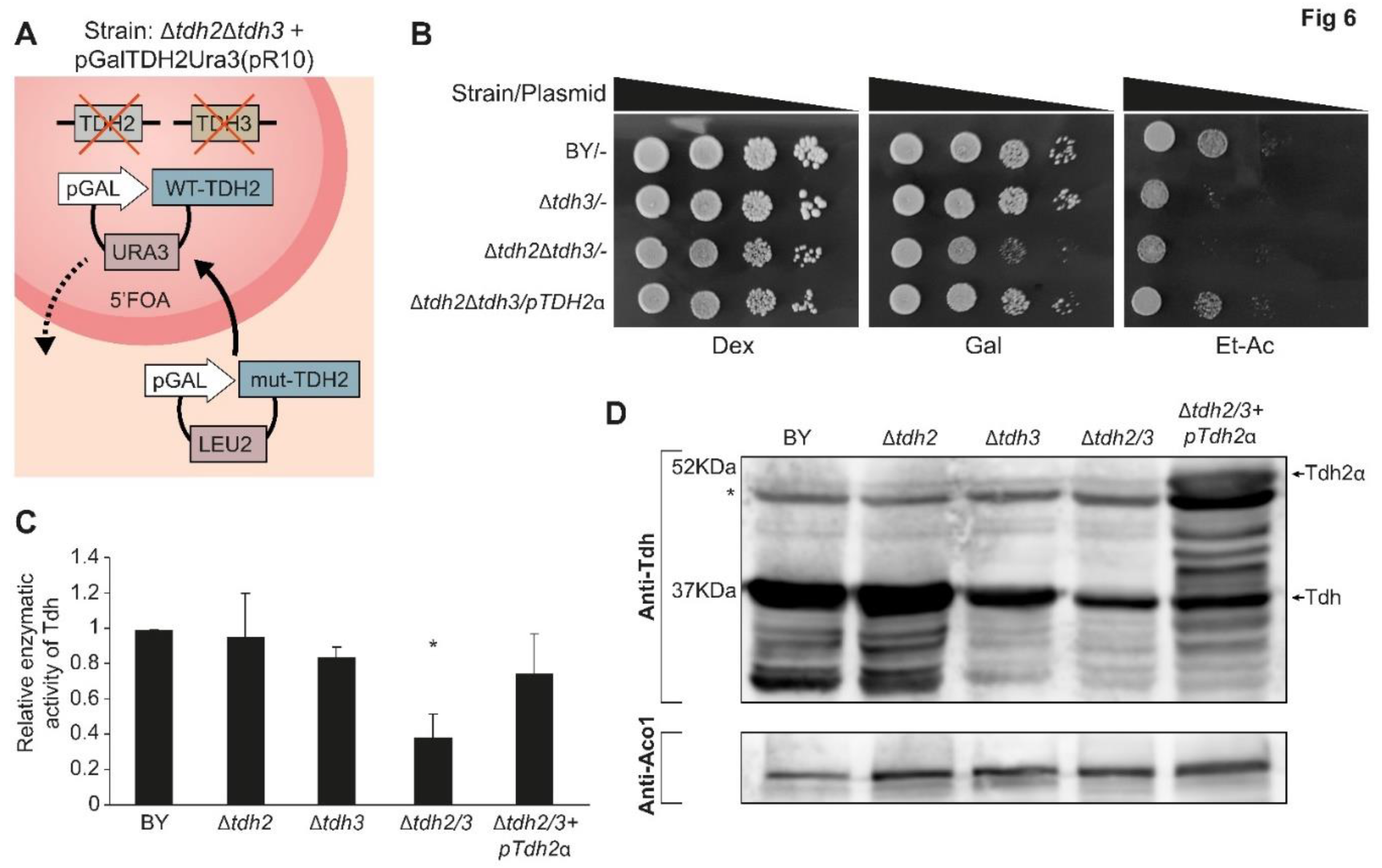 Preprints 72653 g006