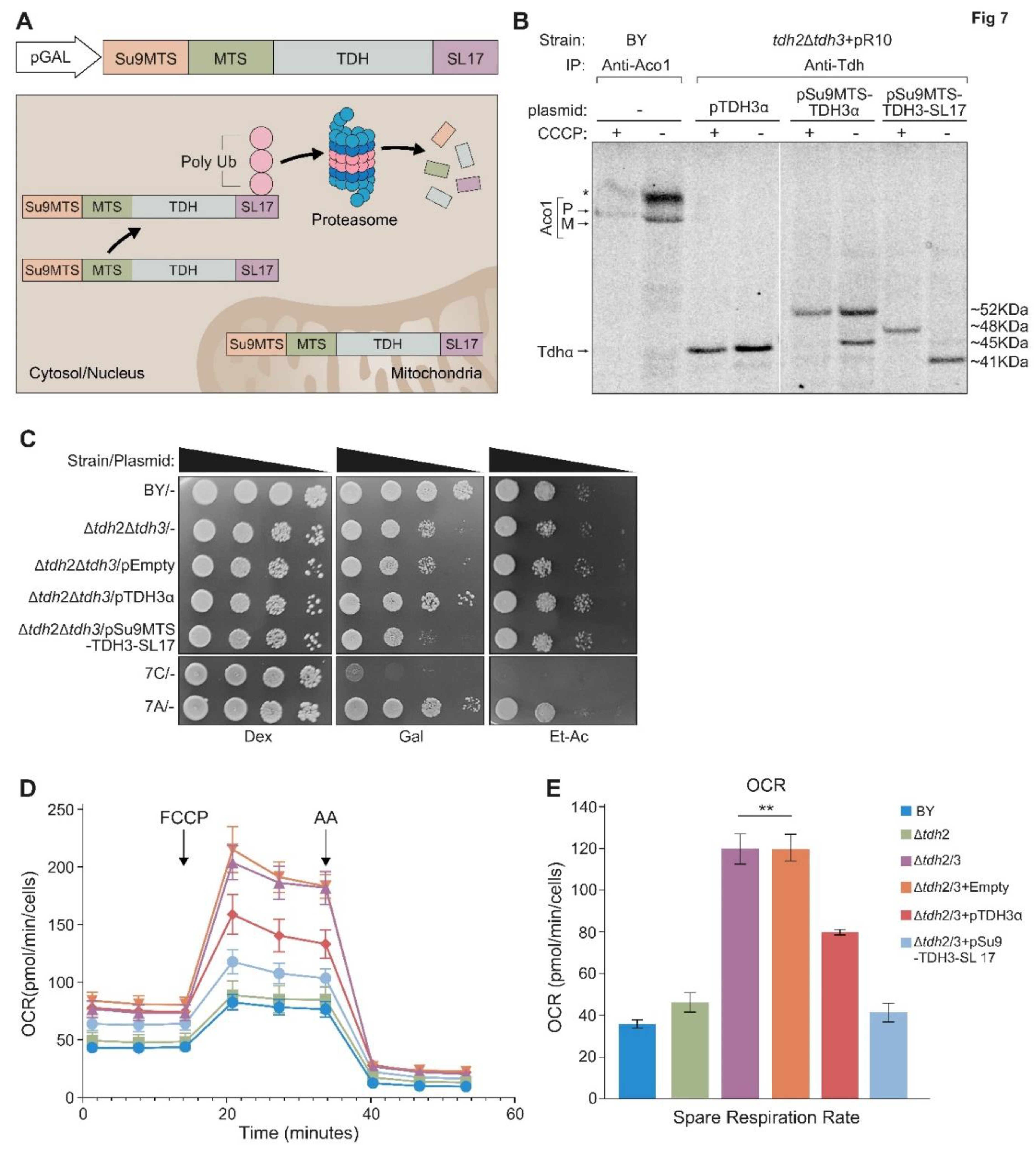 Preprints 72653 g007