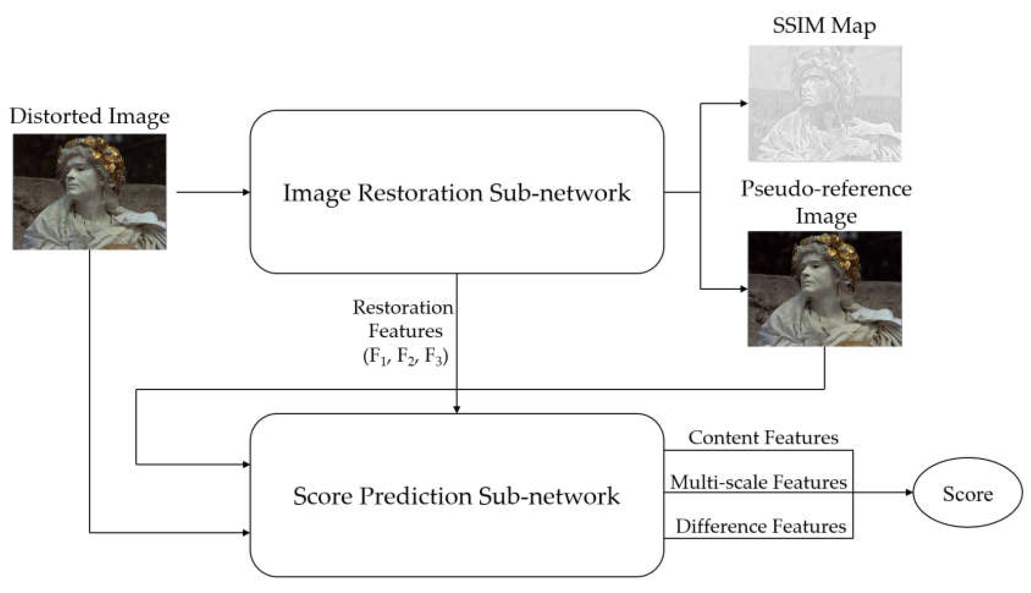 Preprints 71519 g001