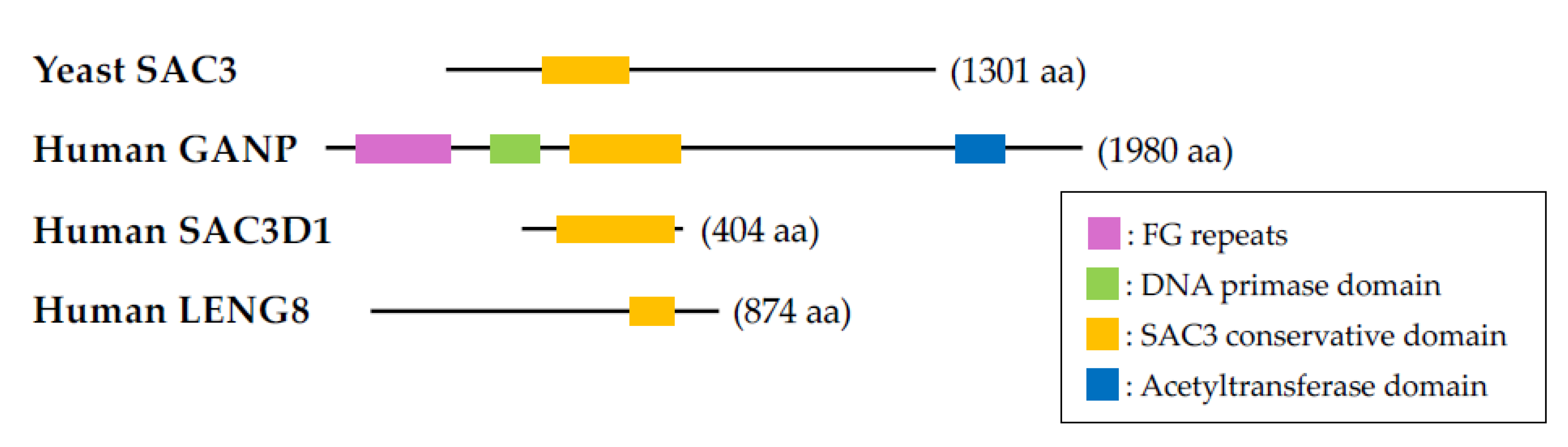 Preprints 121222 g001