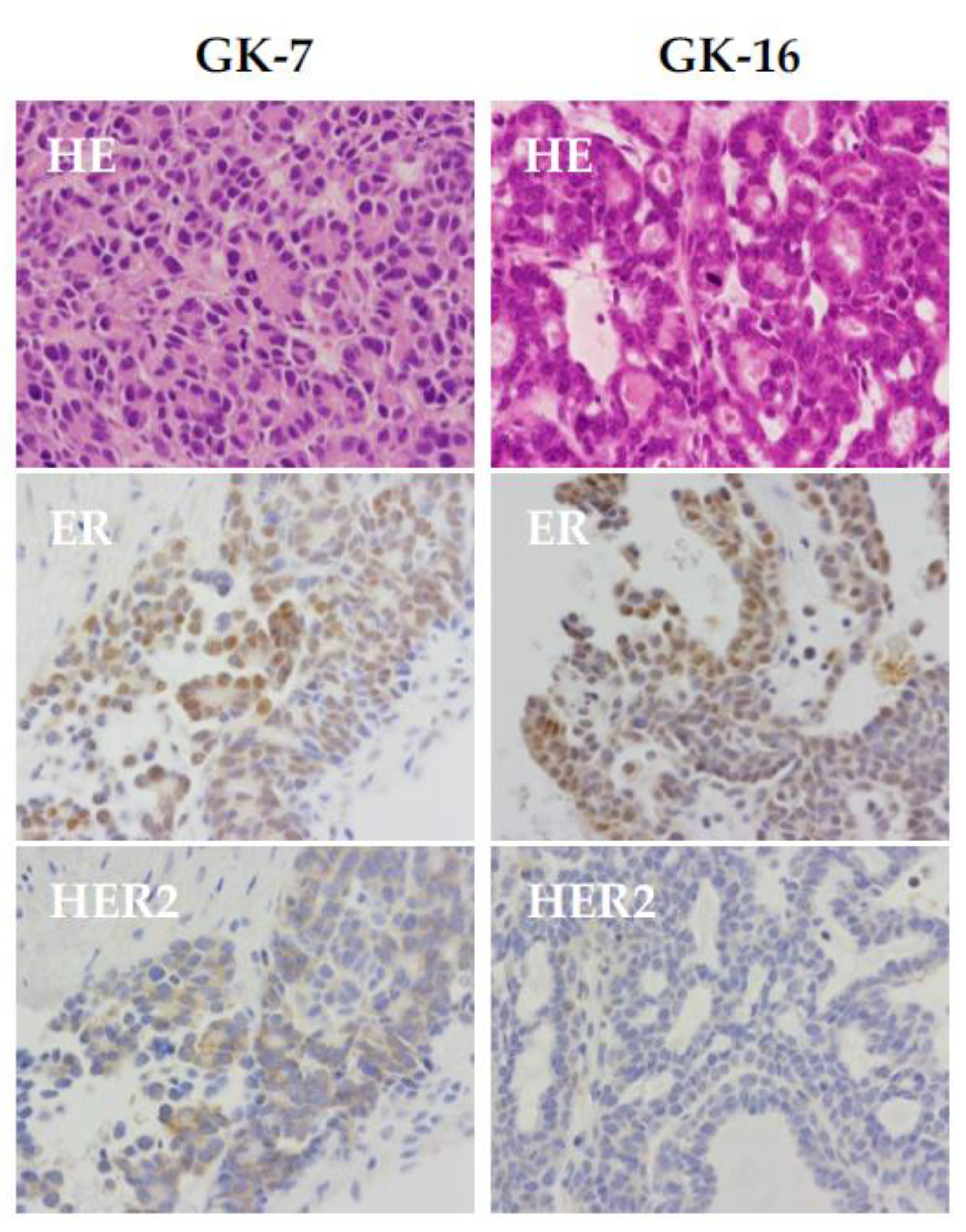 Preprints 121222 g003