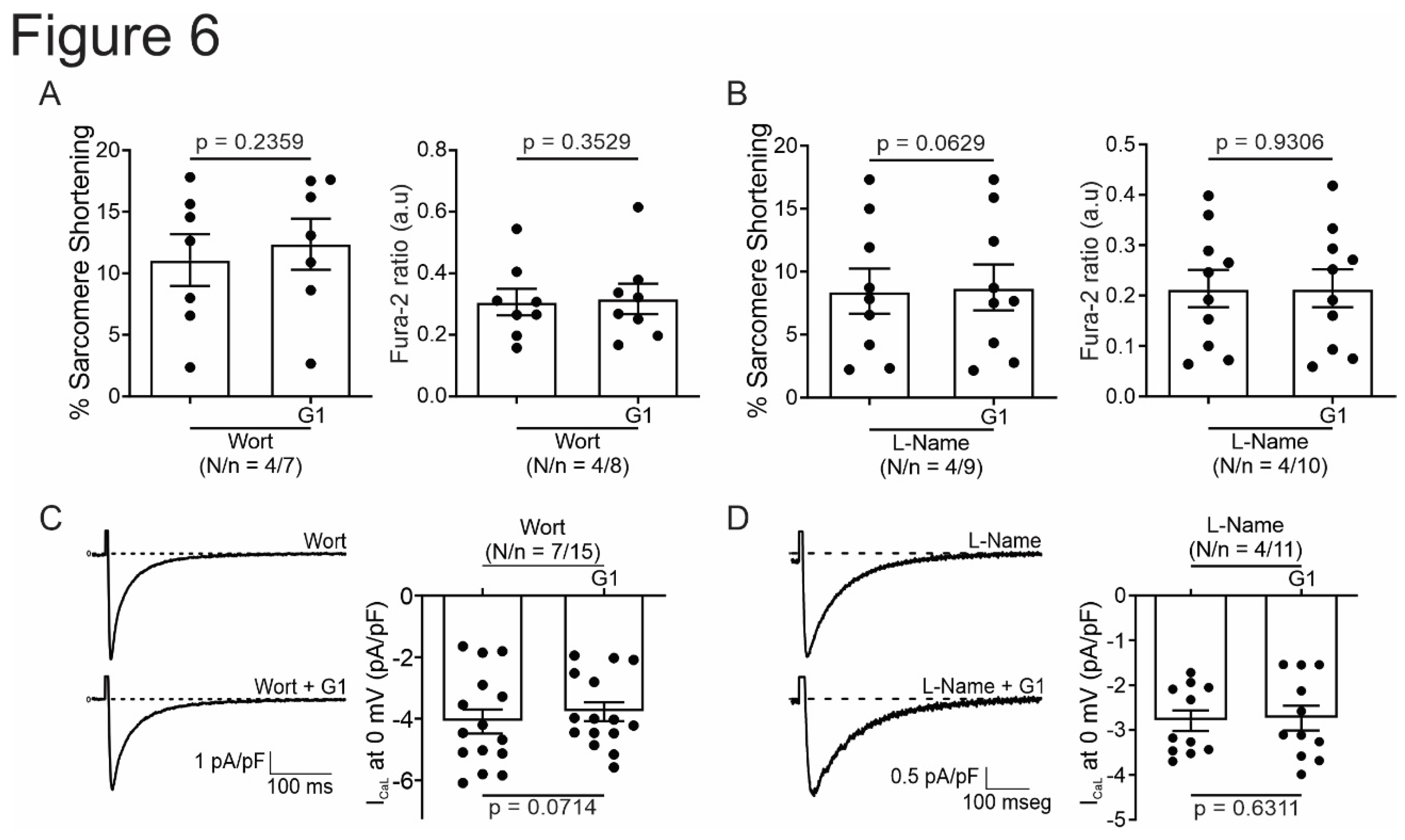 Preprints 106838 g006