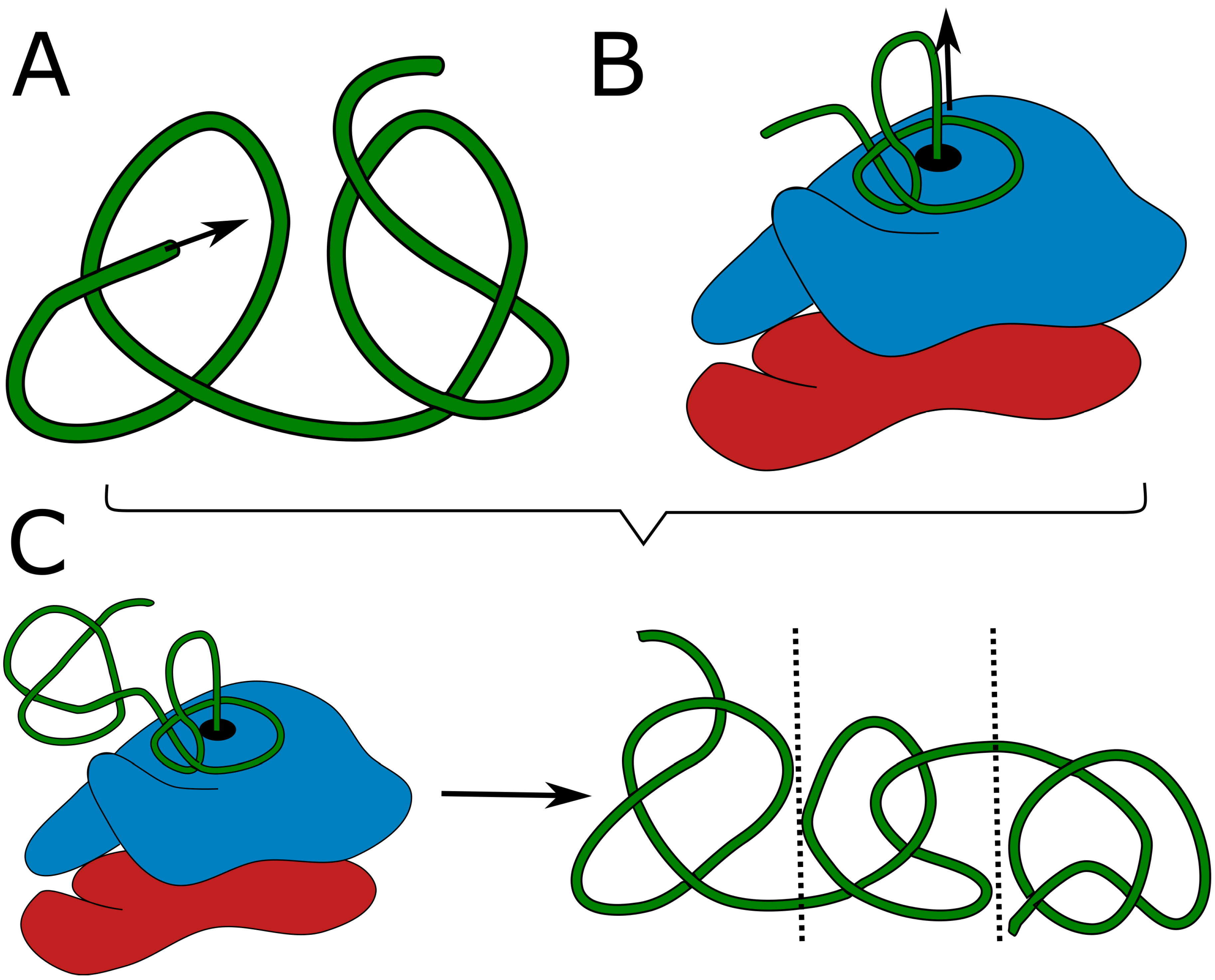 Preprints 83118 g001