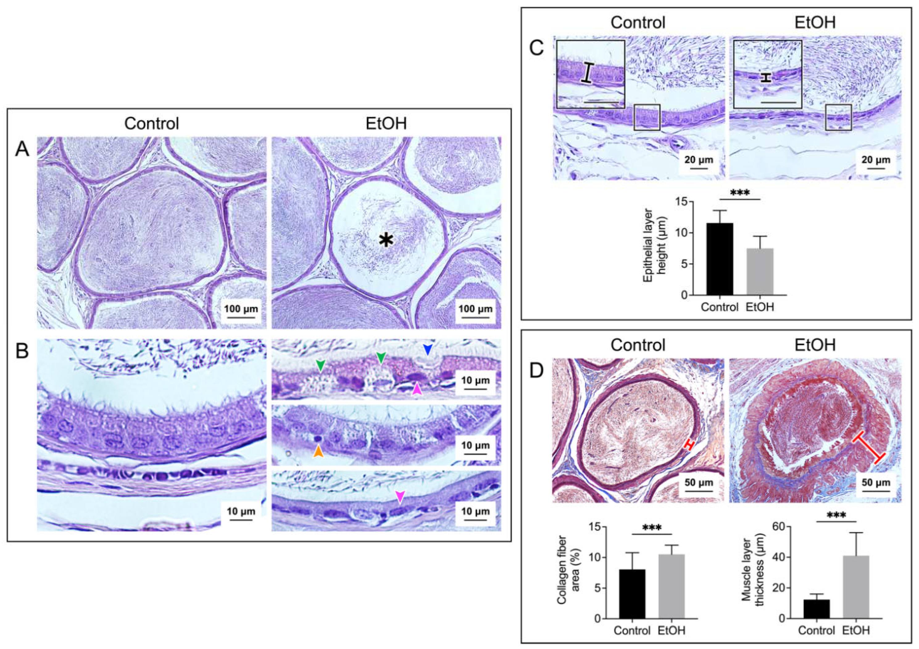 Preprints 98587 g002