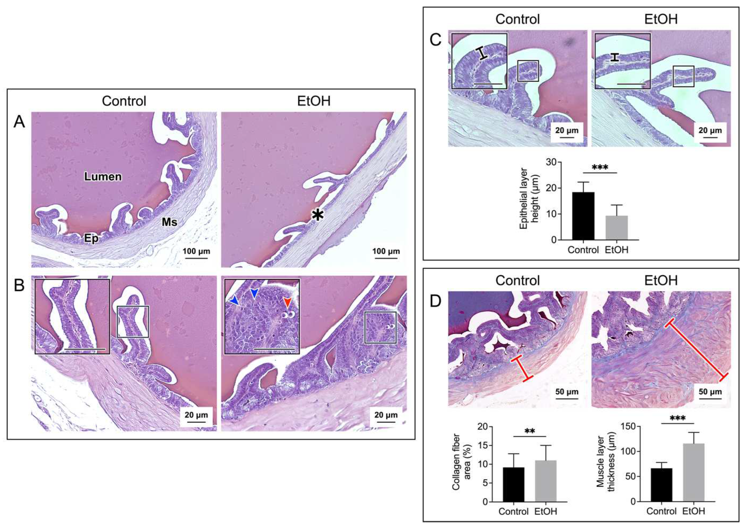 Preprints 98587 g003