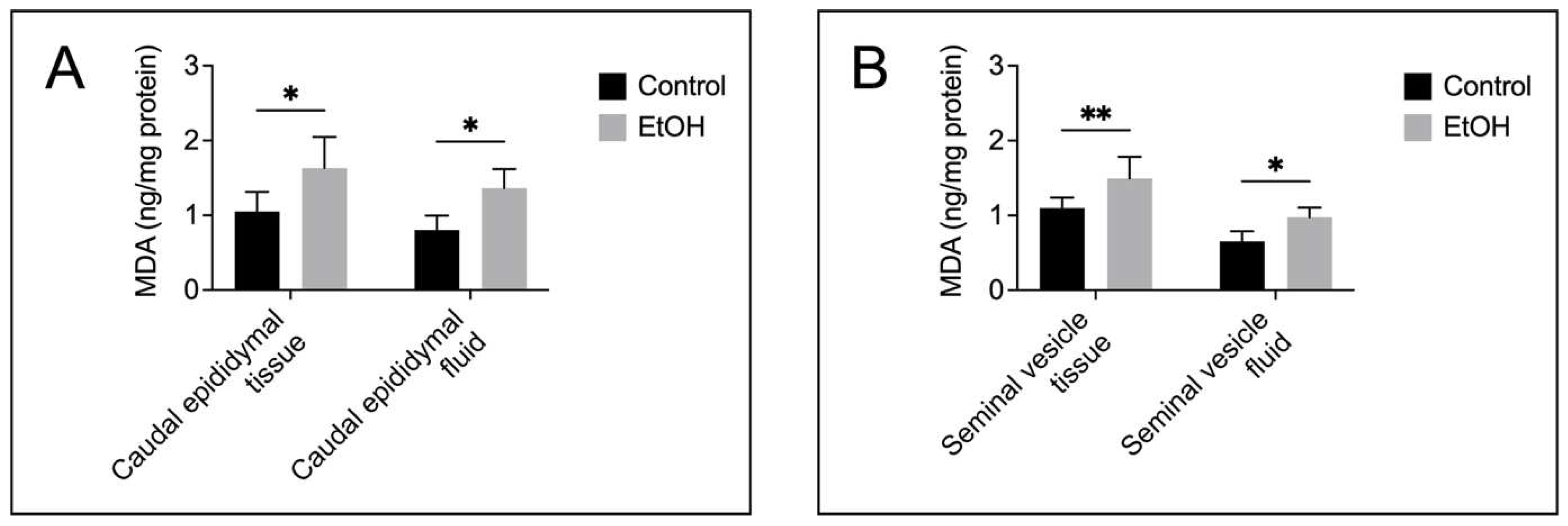 Preprints 98587 g004