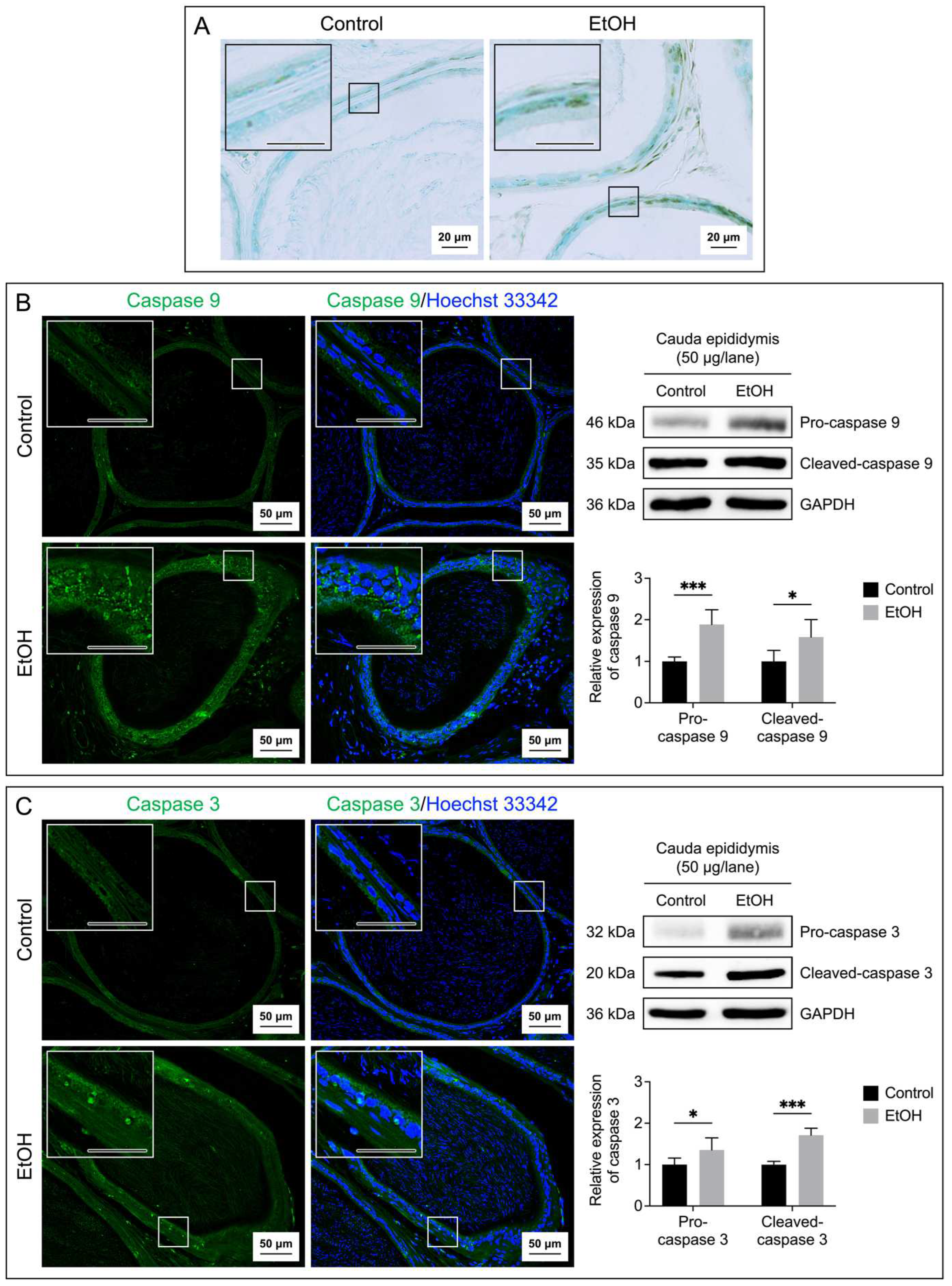 Preprints 98587 g005