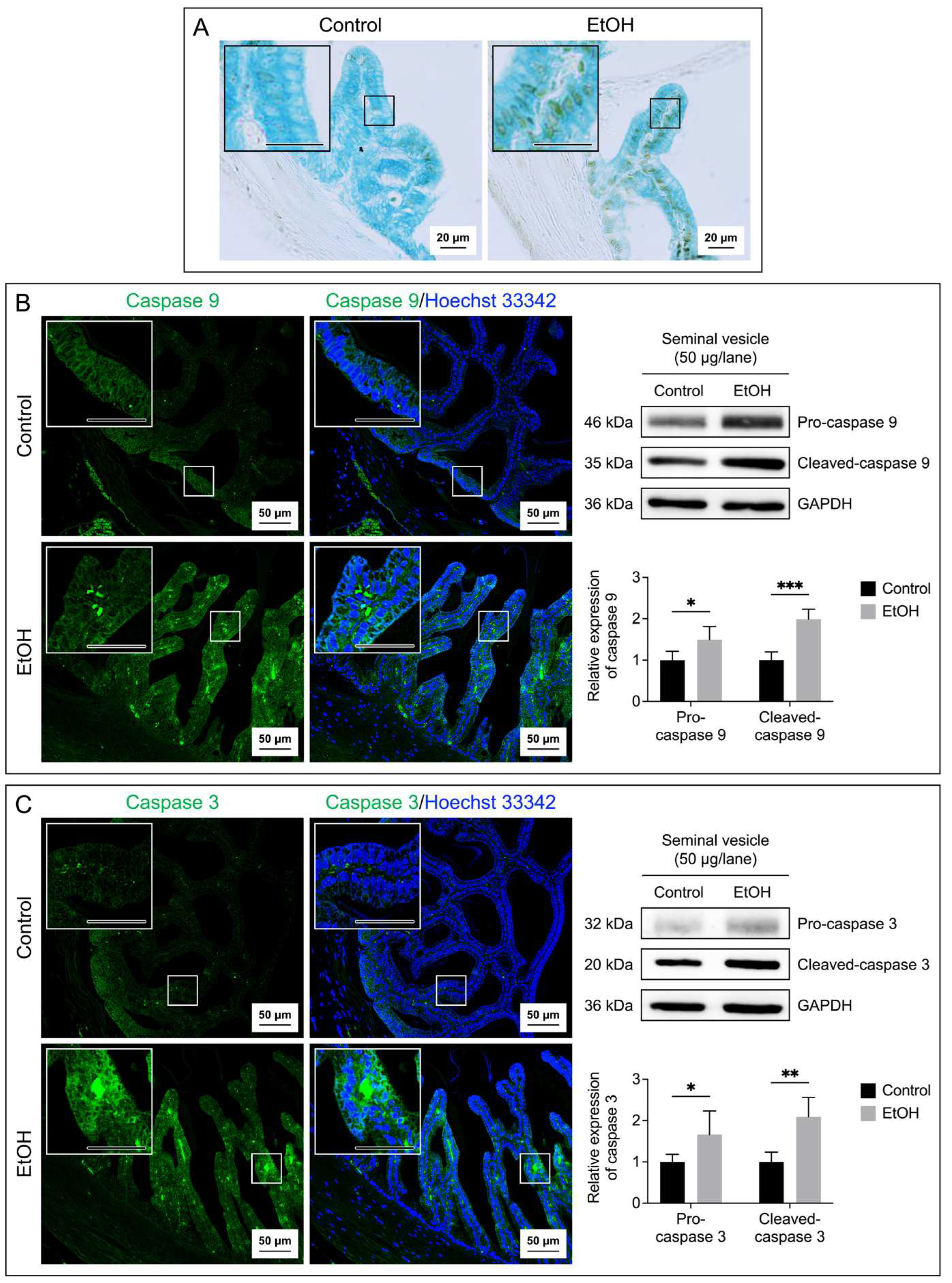 Preprints 98587 g006