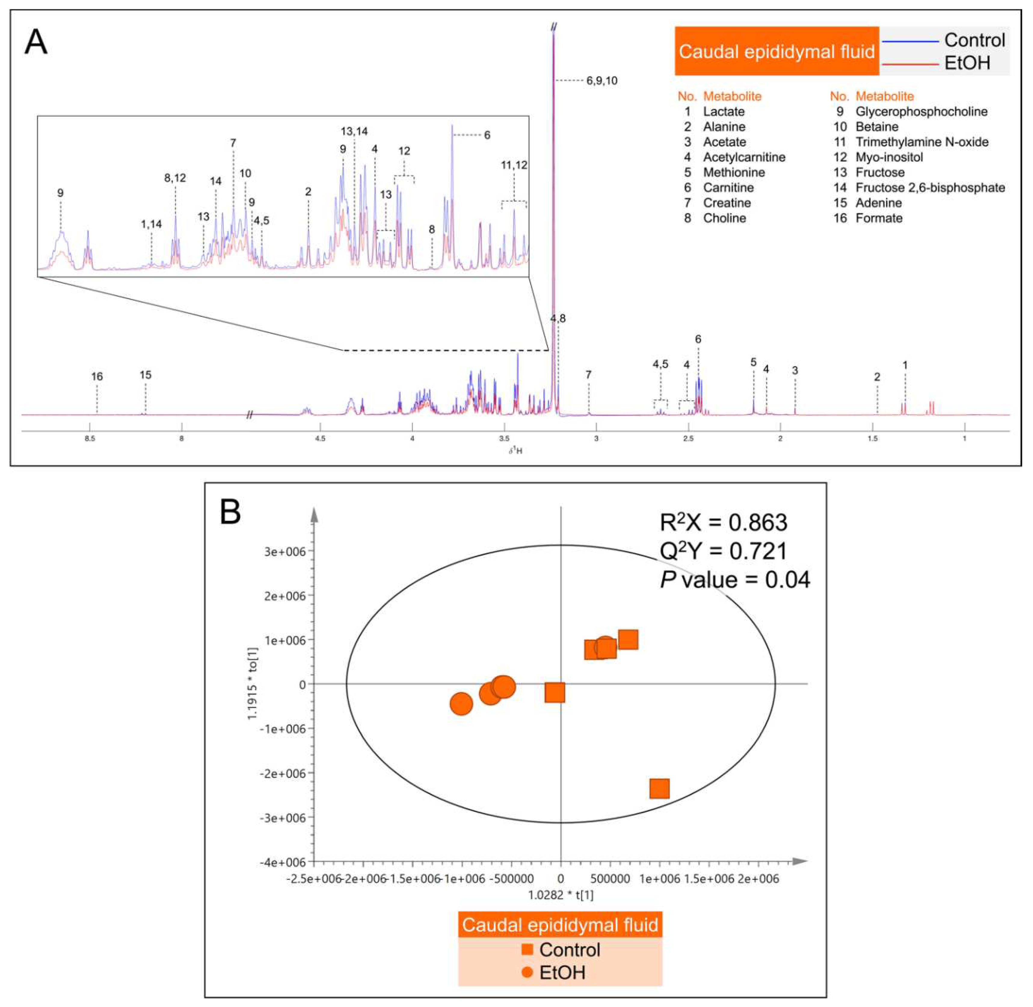 Preprints 98587 g007