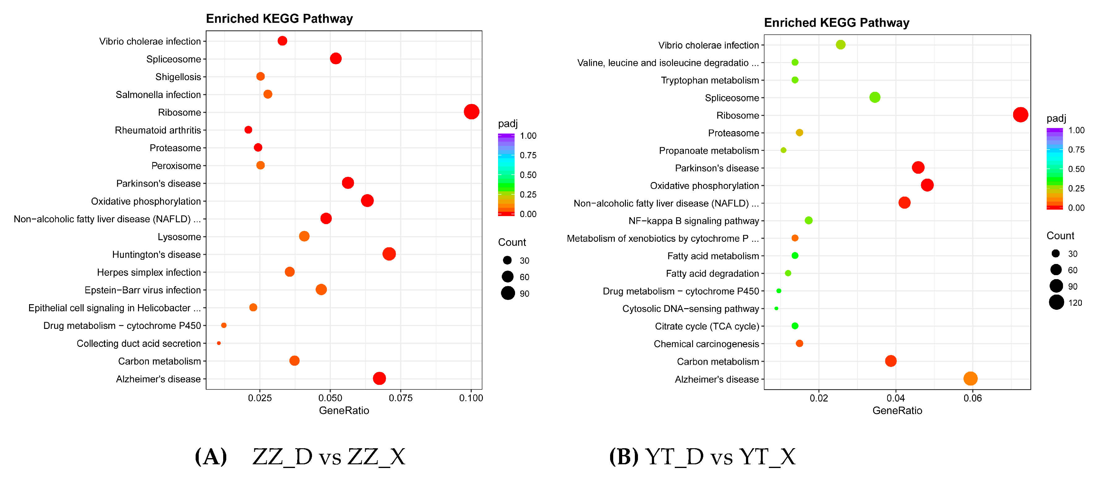 Preprints 88608 g006