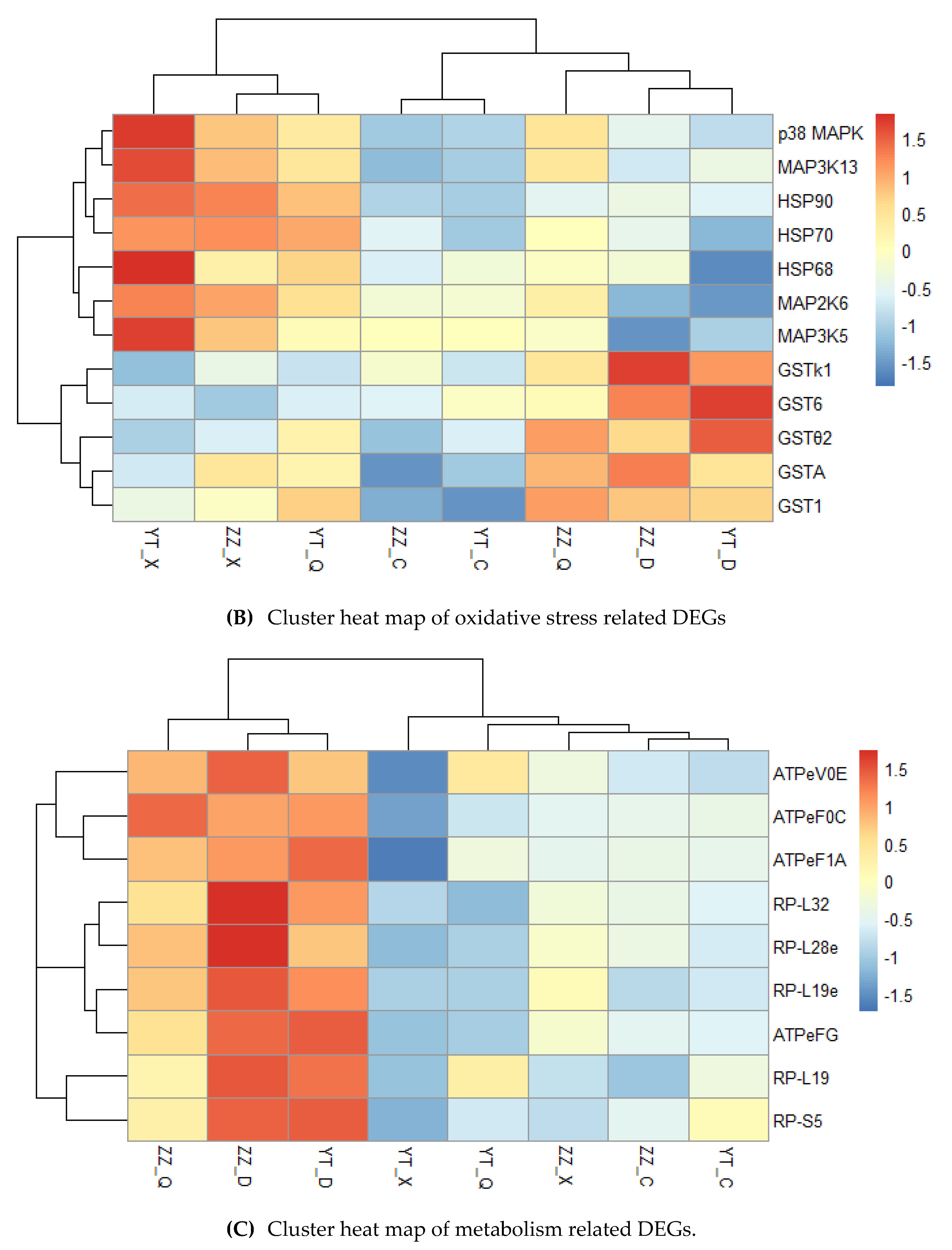 Preprints 88608 g007b