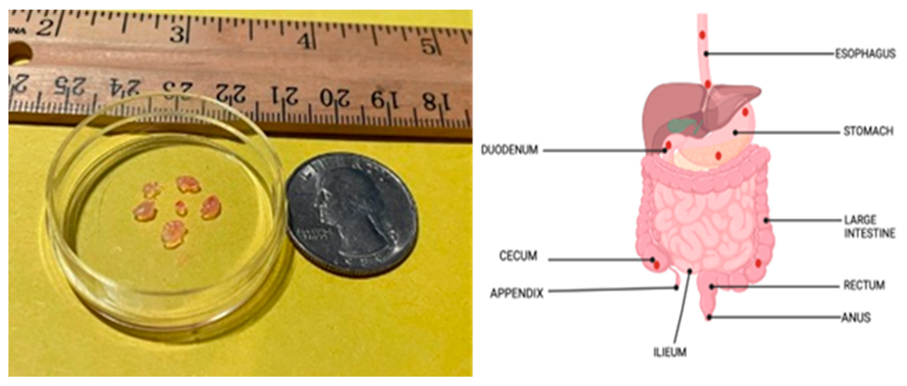 Preprints 88183 g002