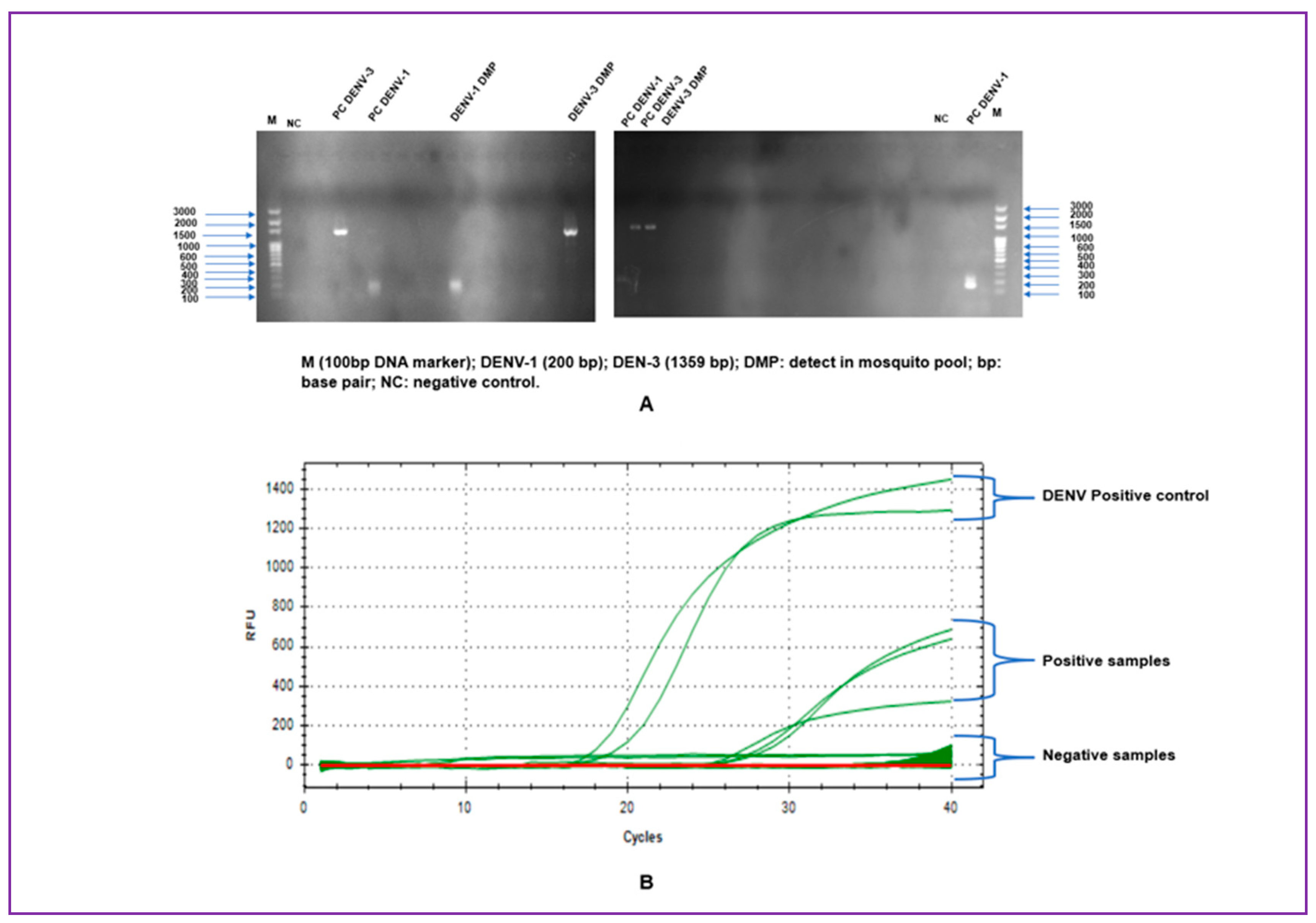 Preprints 111895 g003