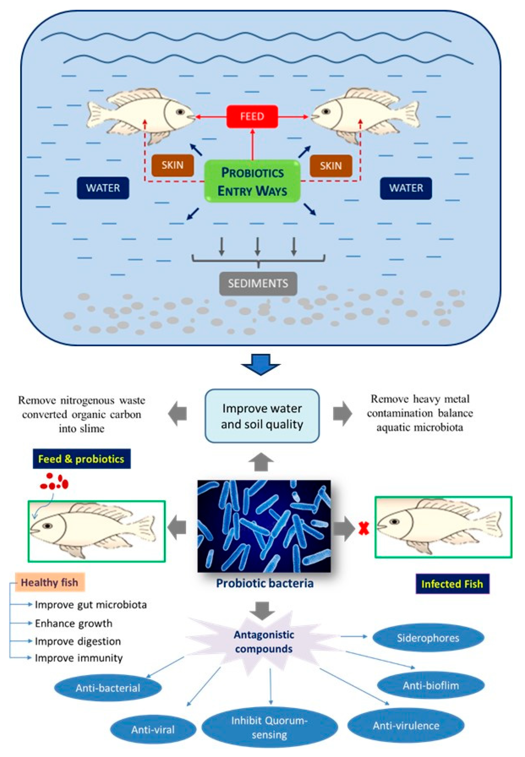 Preprints 89779 g001