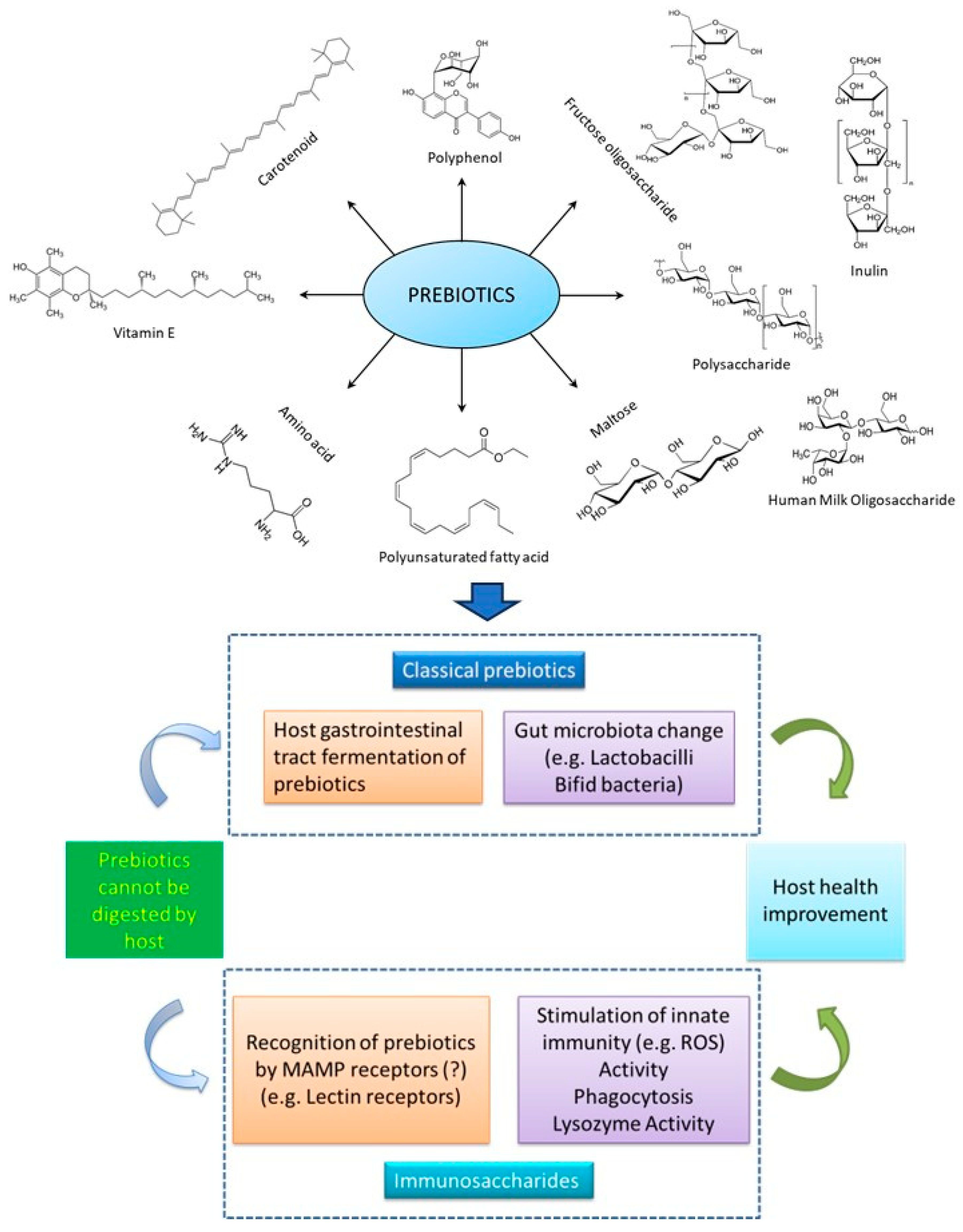 Preprints 89779 g002