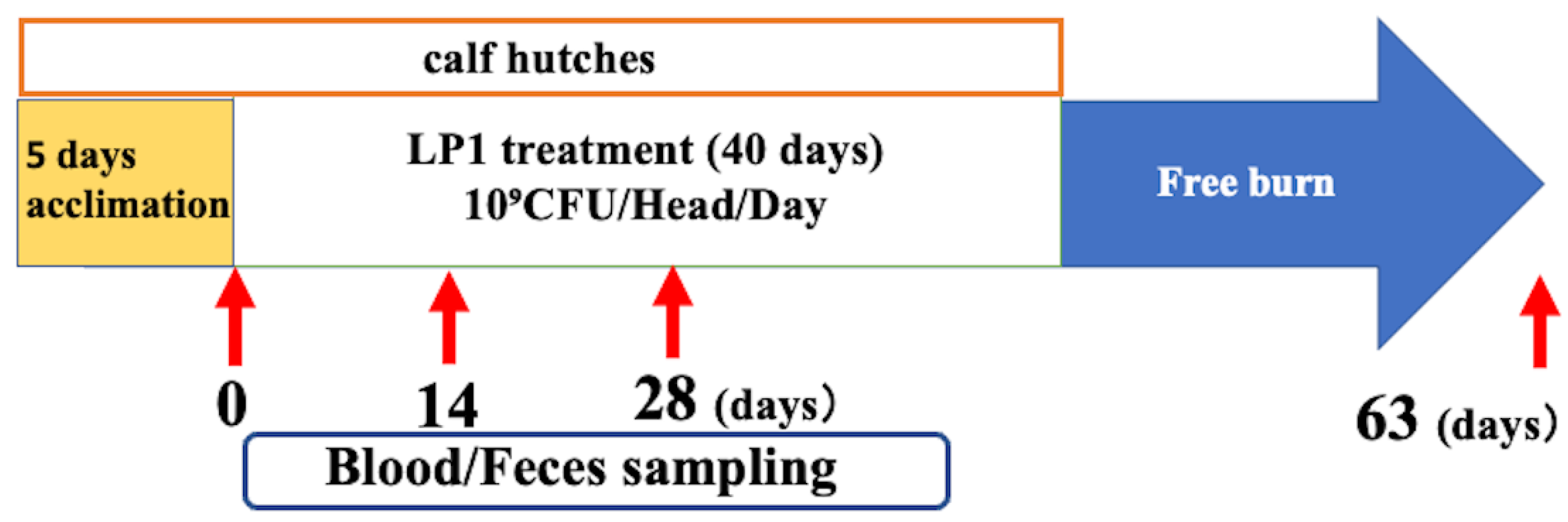 Preprints 118013 g001