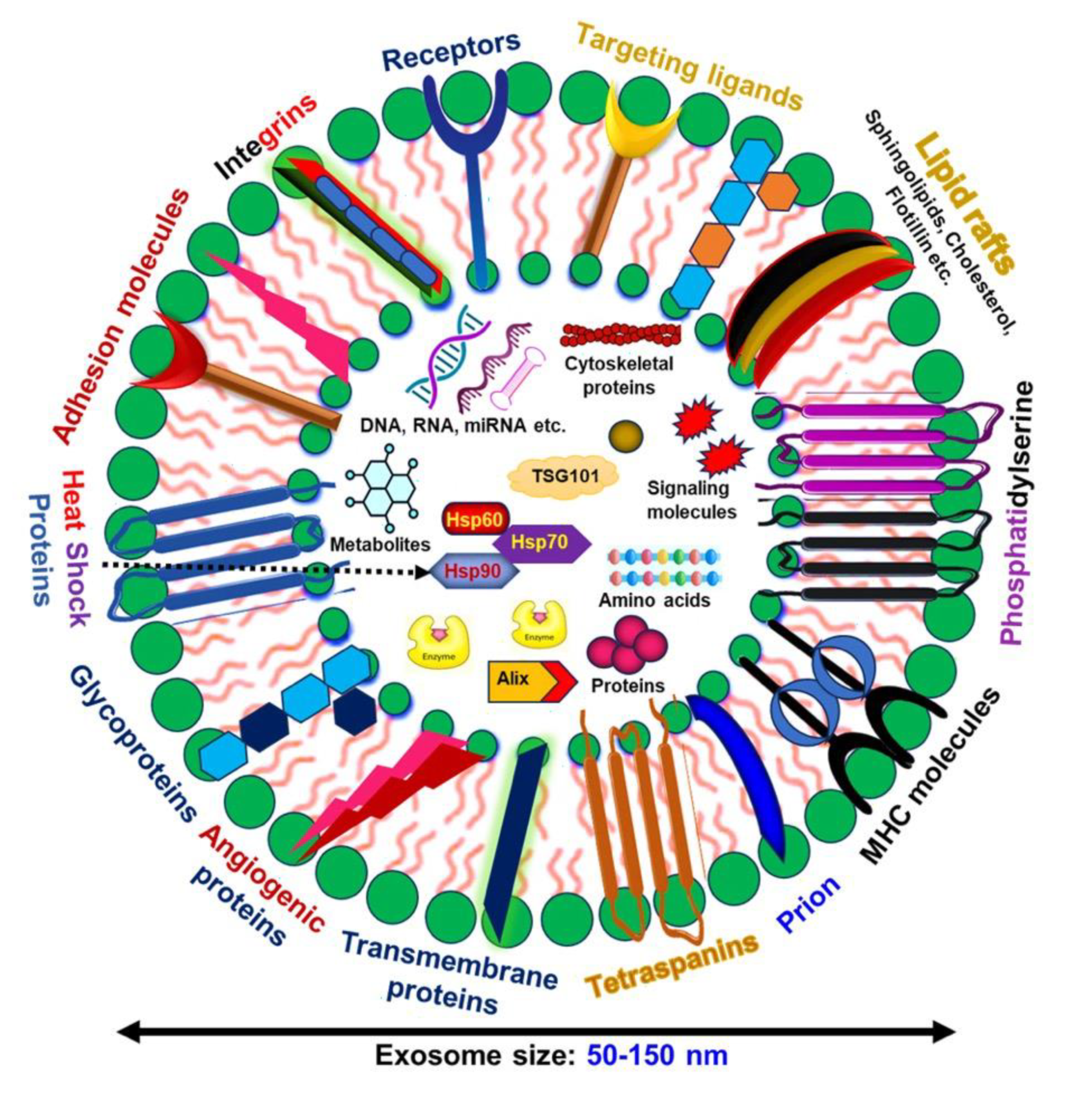 Preprints 112660 g001