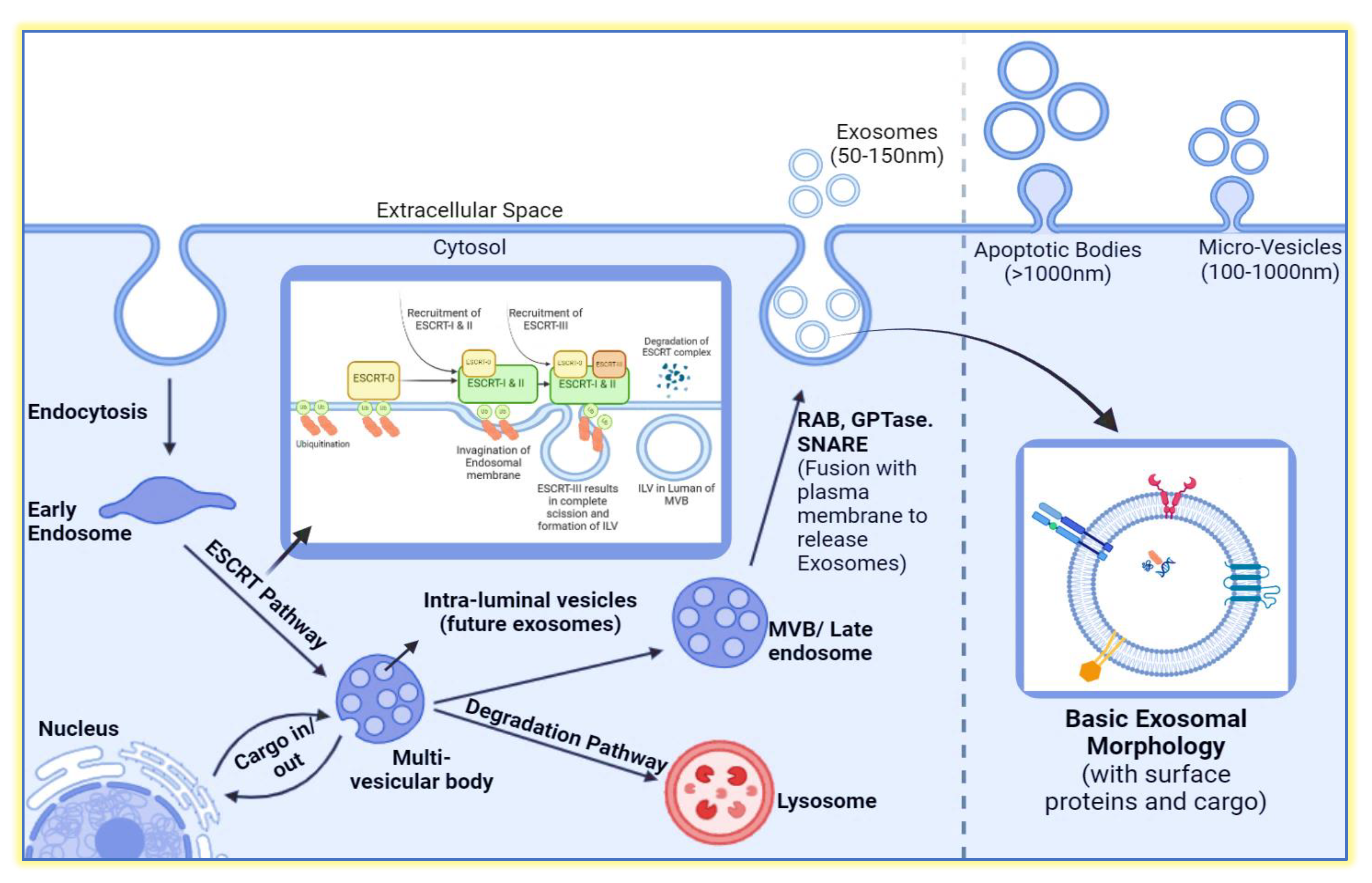 Preprints 112660 g002