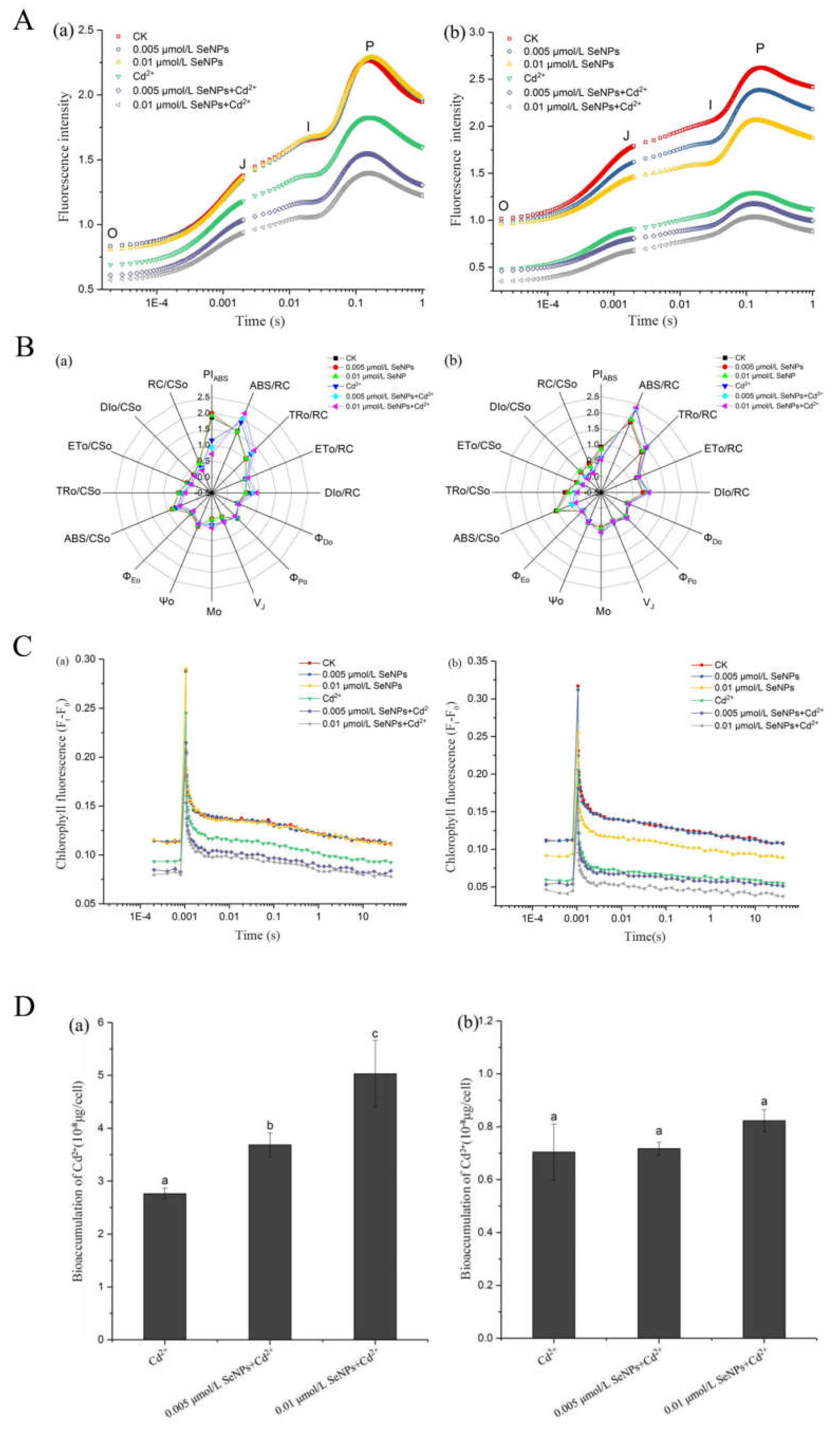 Preprints 112710 g006