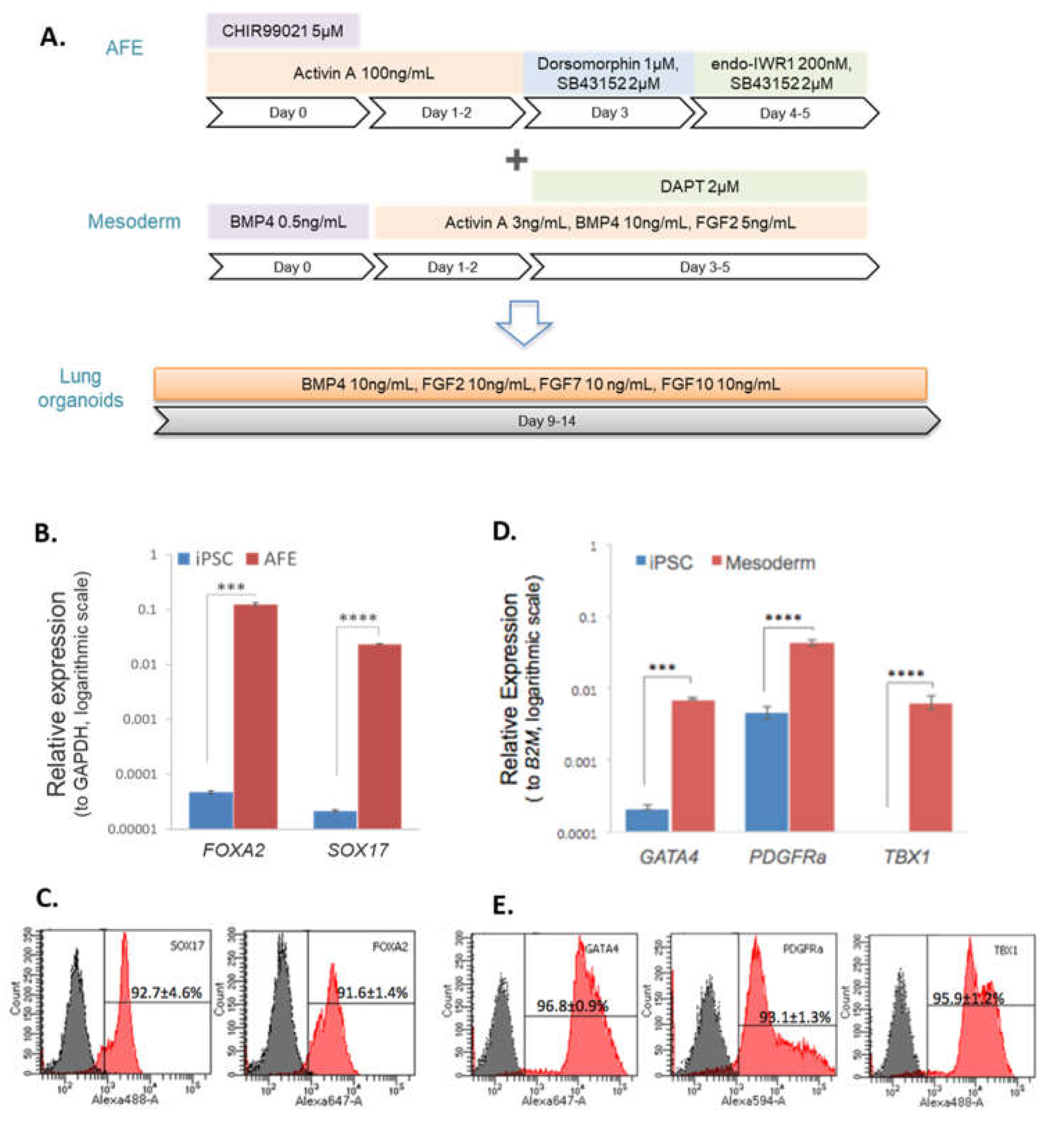 Preprints 71039 g001