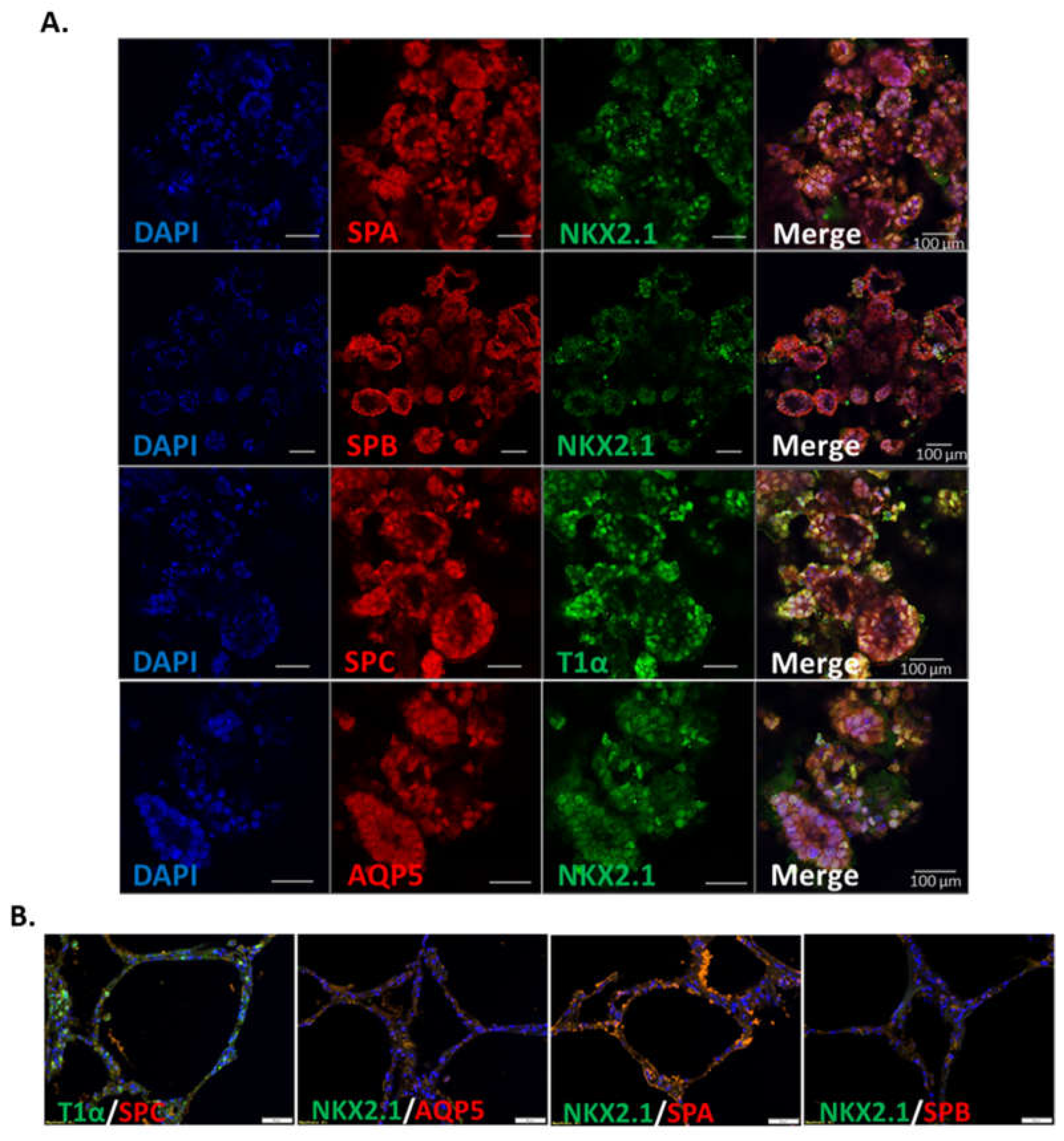 Preprints 71039 g002