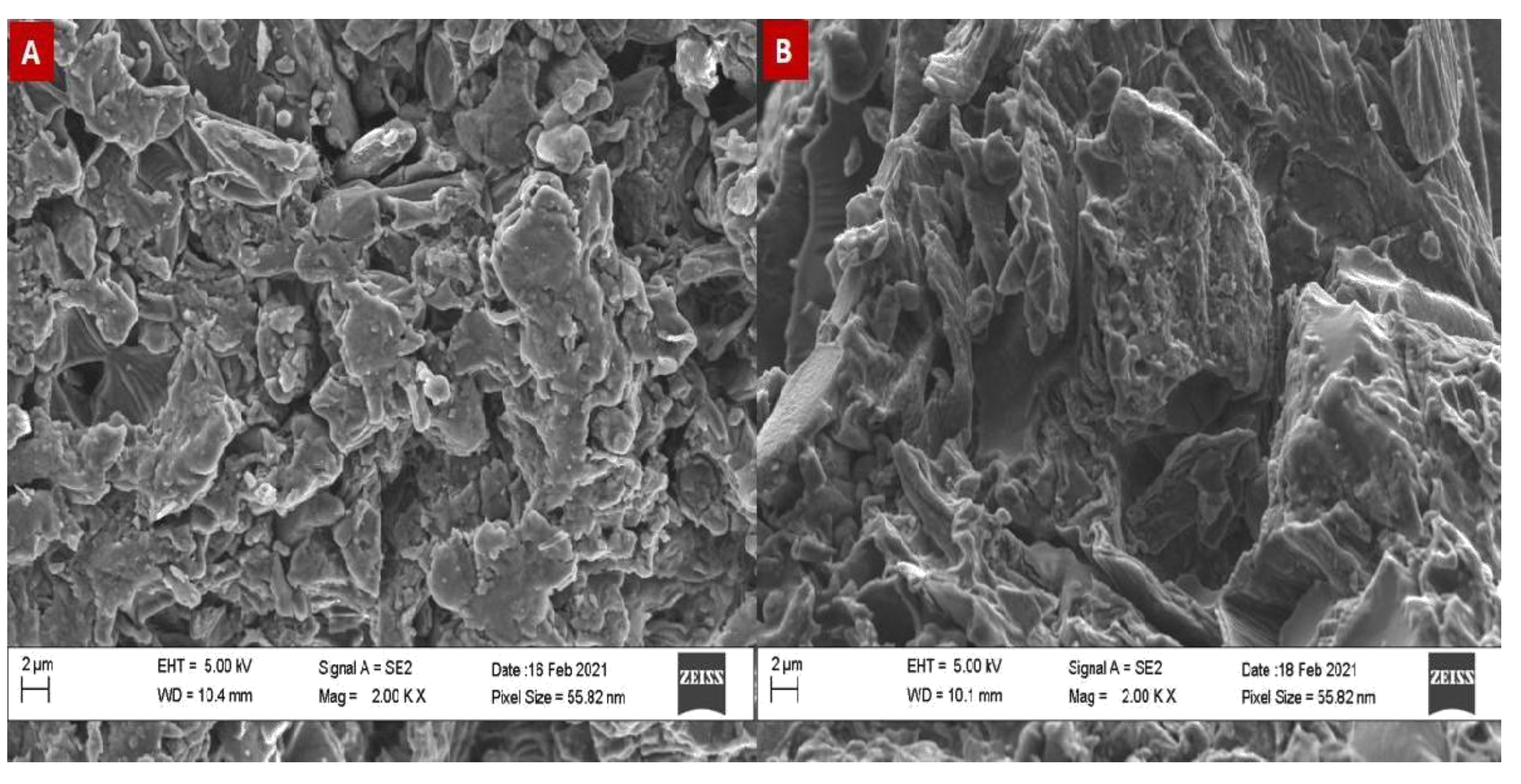 Preprints 112097 g003