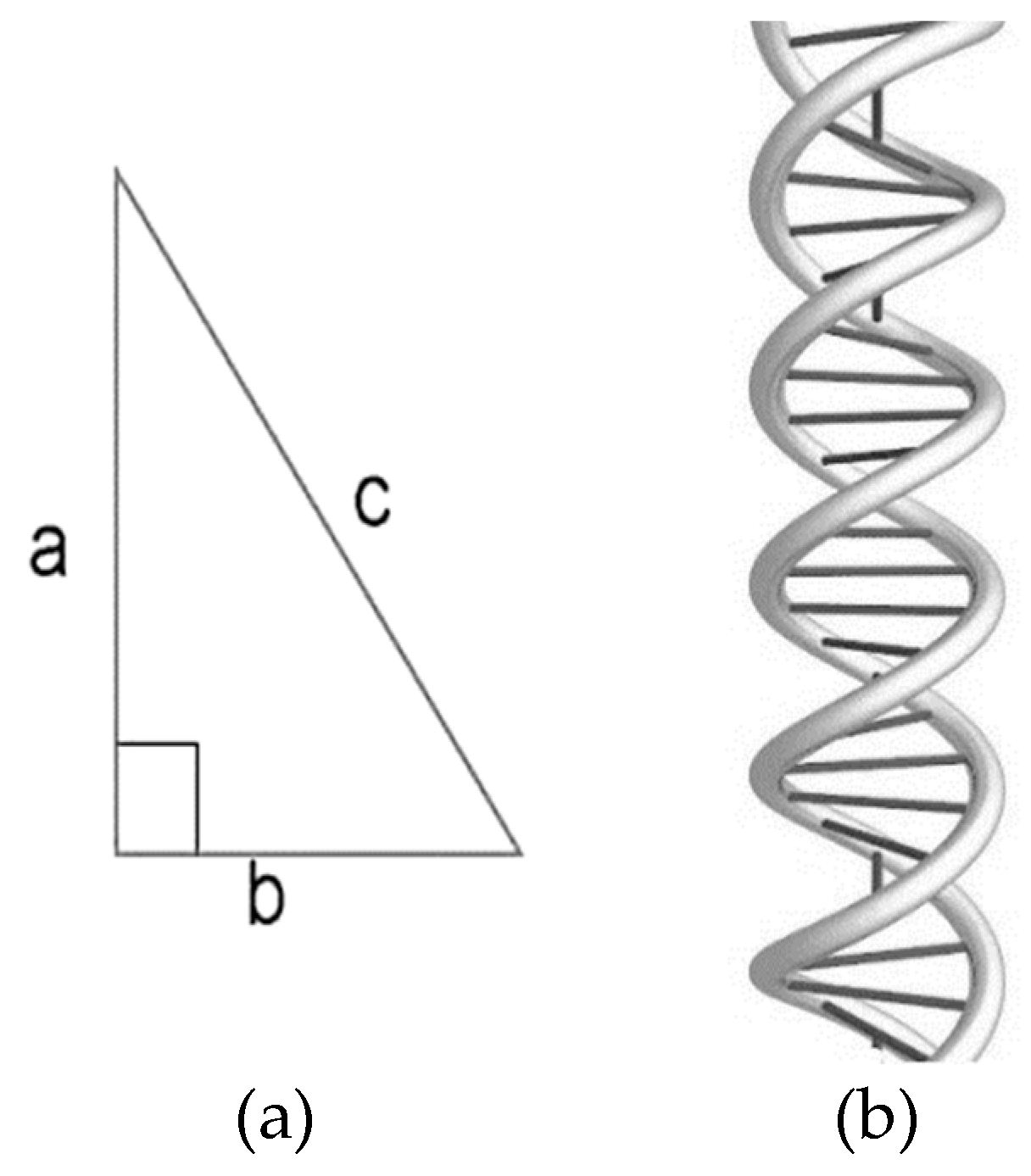 Preprints 68922 g001