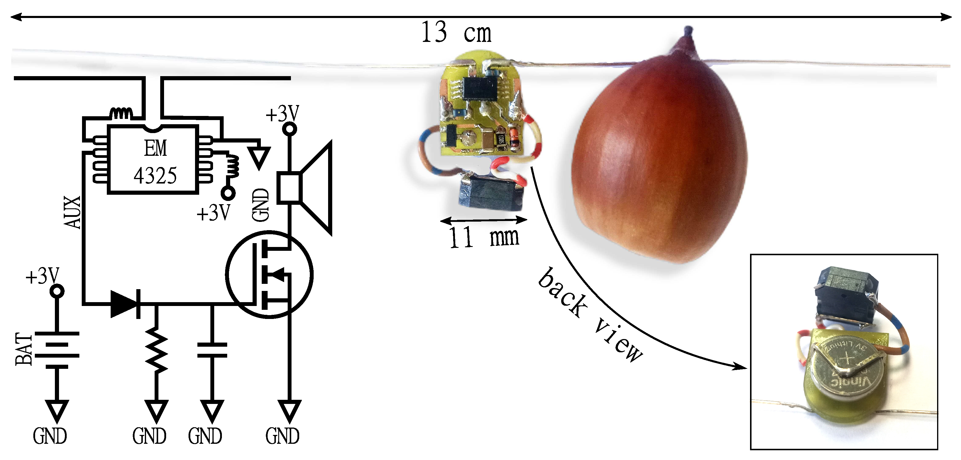 Preprints 95069 g008