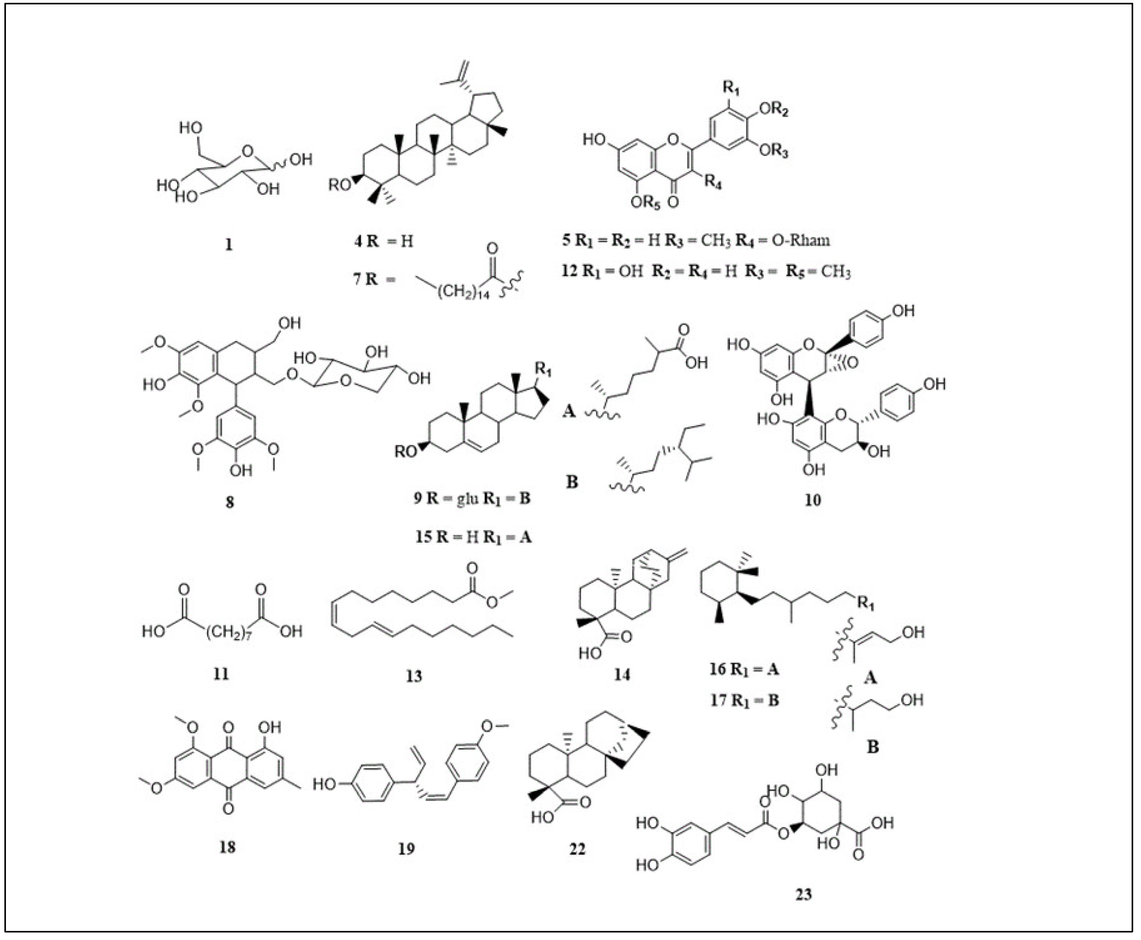 Preprints 90768 g004