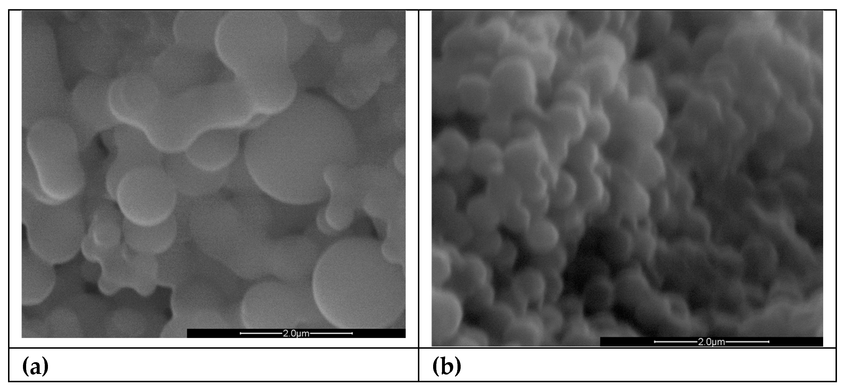 Preprints 93139 g001