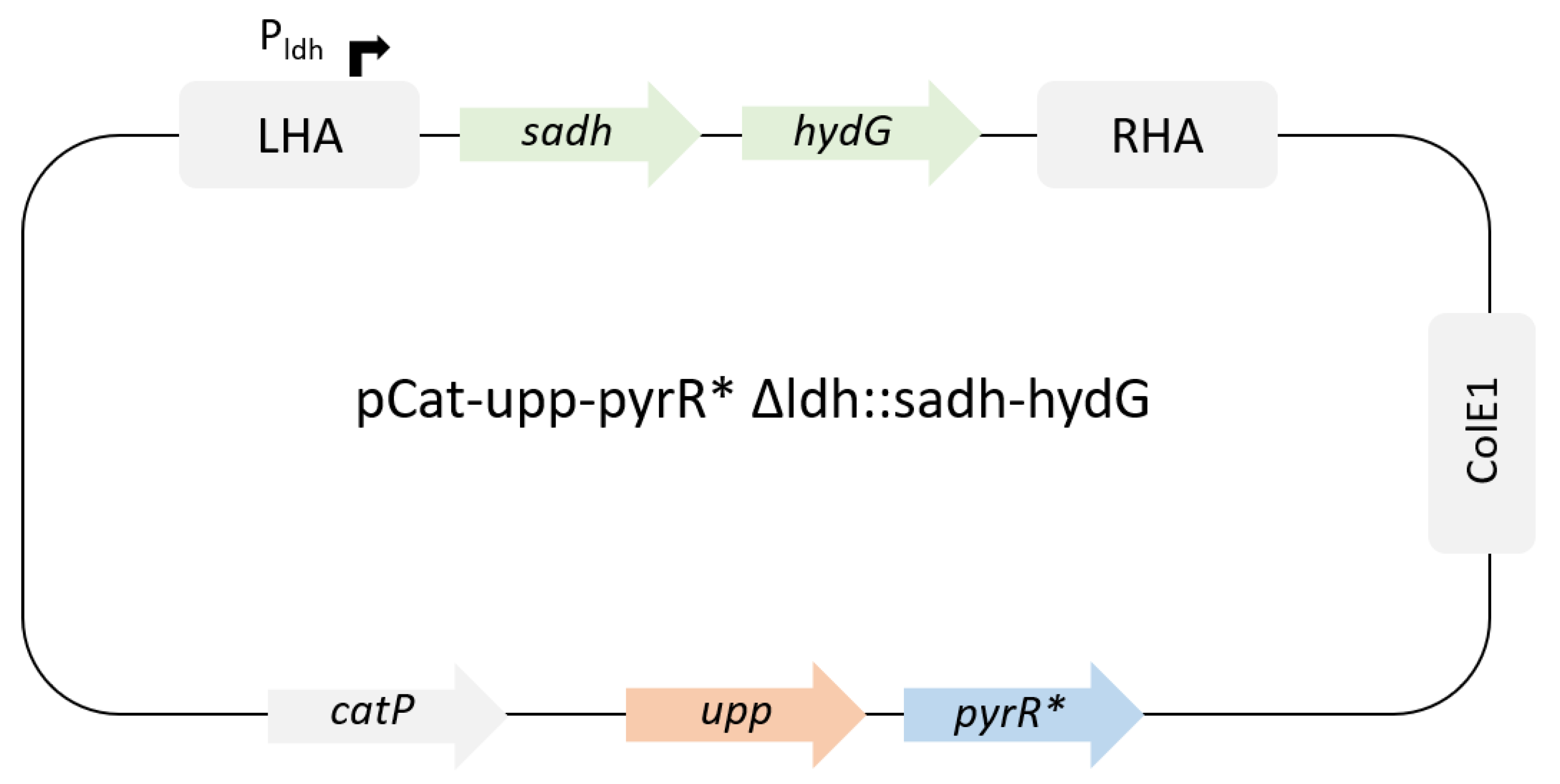 Preprints 87071 g001