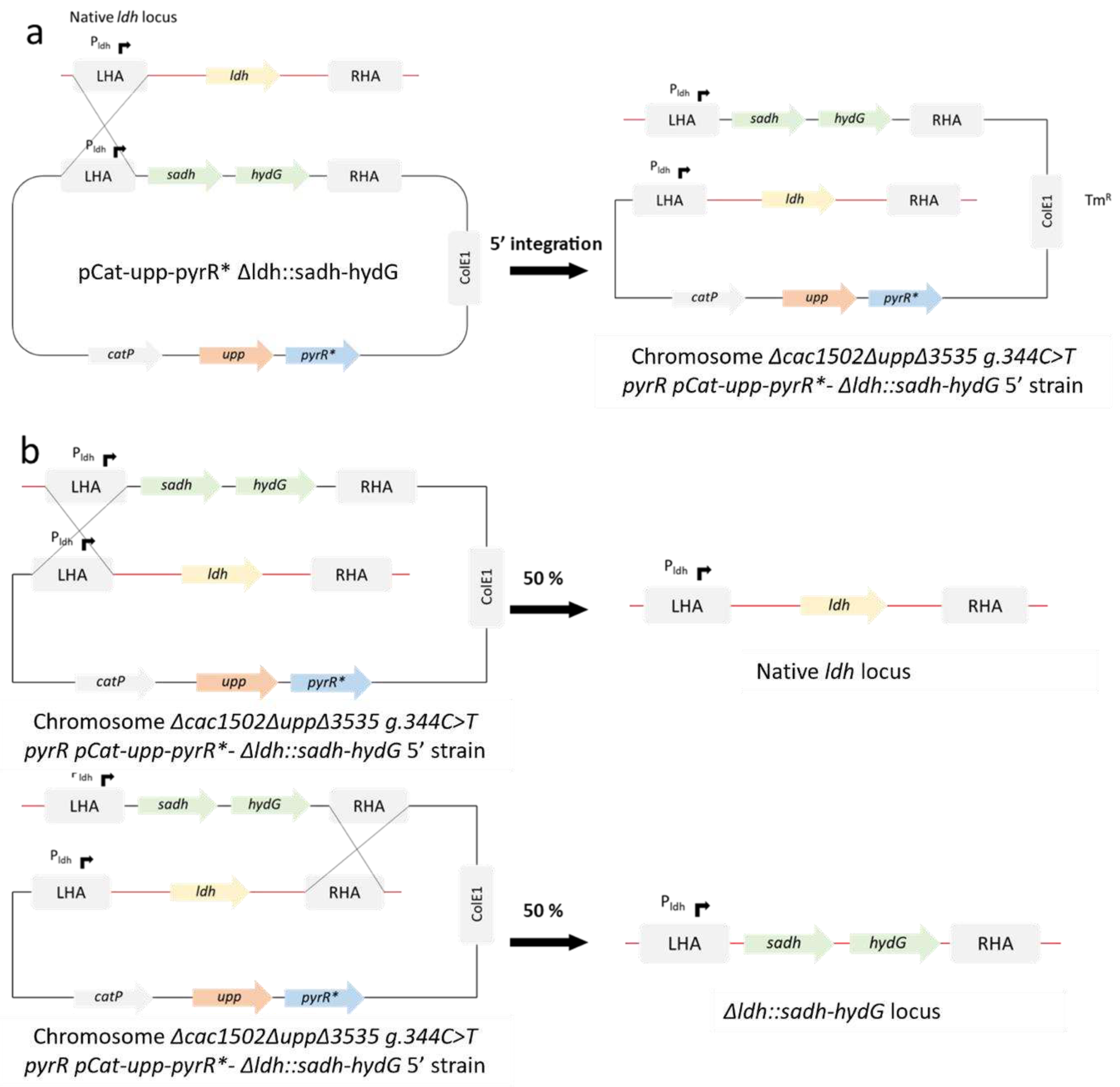 Preprints 87071 g002