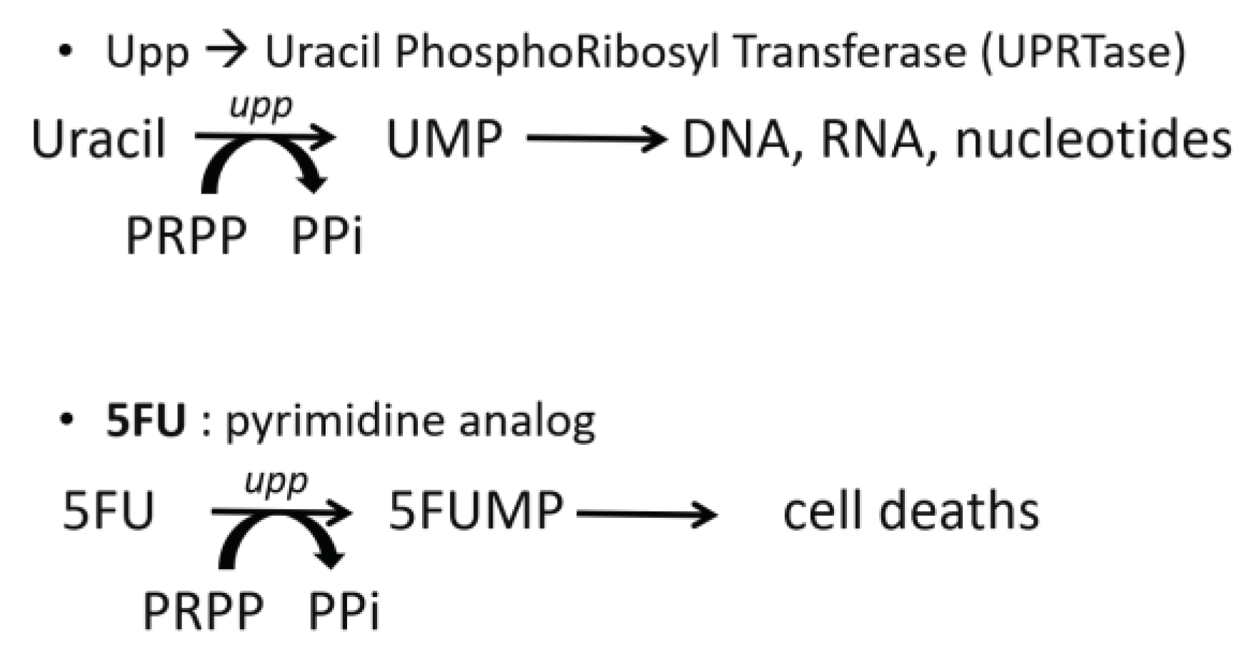 Preprints 87071 g005